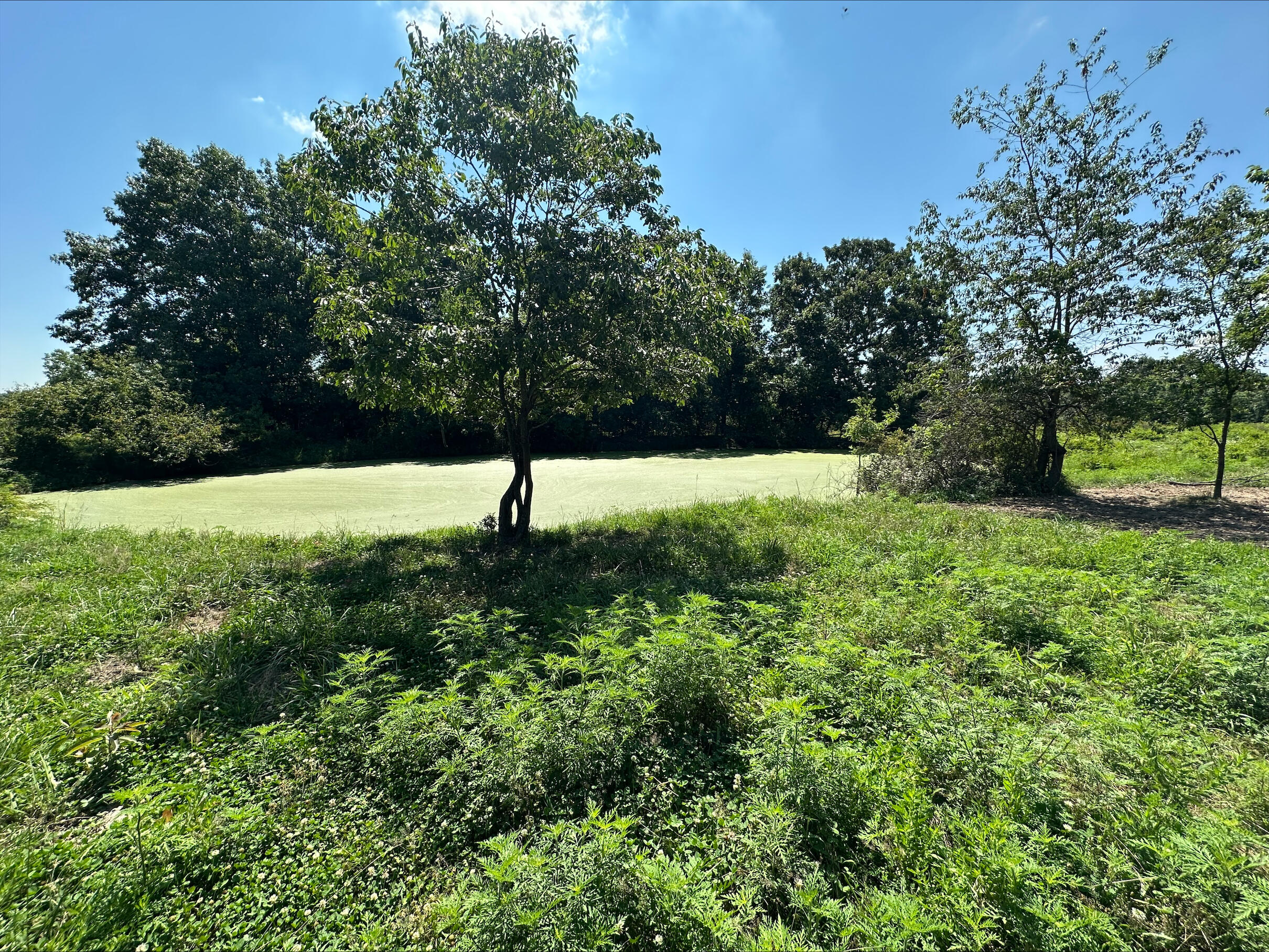Tbd - A State Highway 174 Property Photo 3
