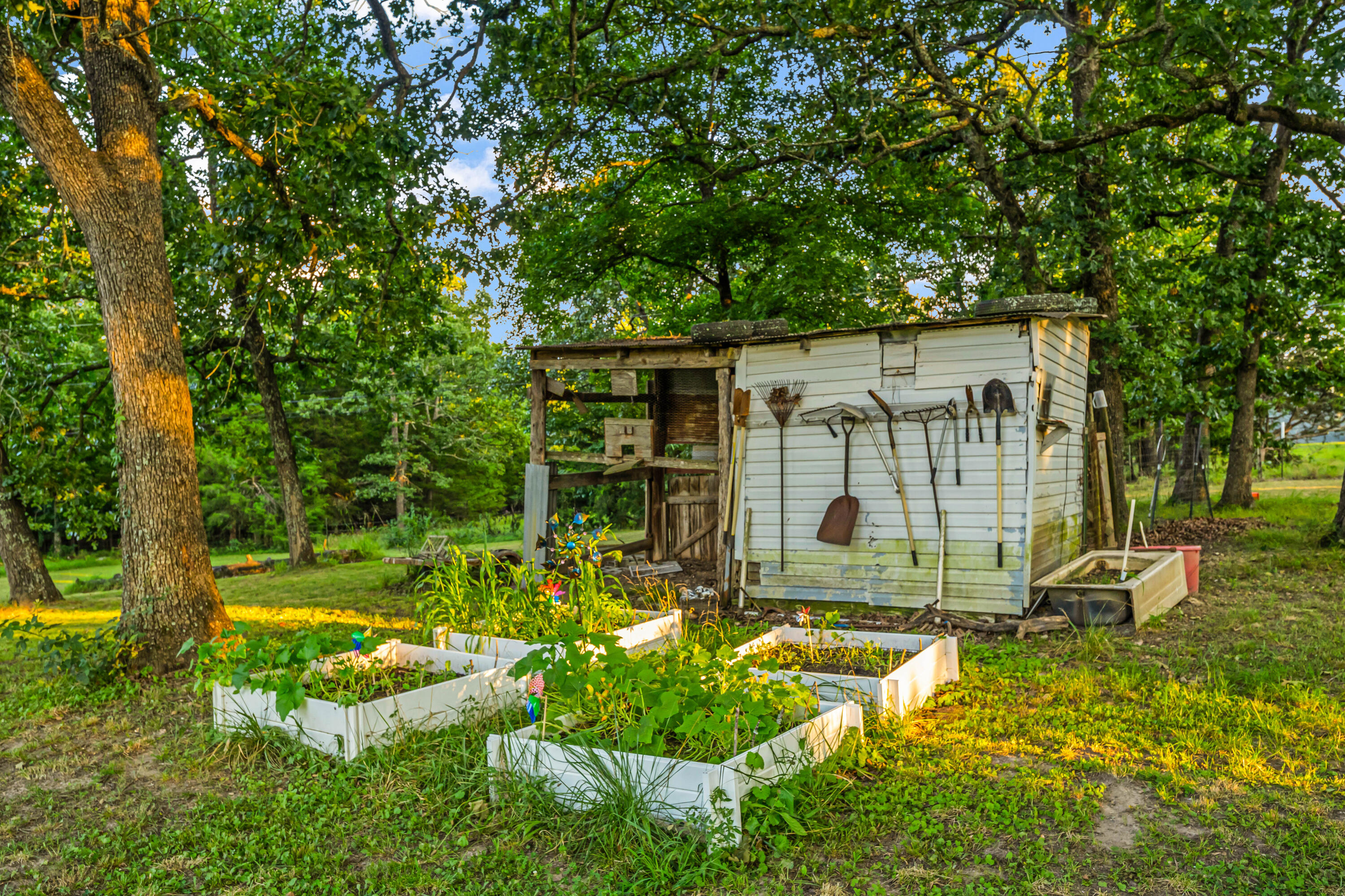 17883 County Road 522 Property Photo 59