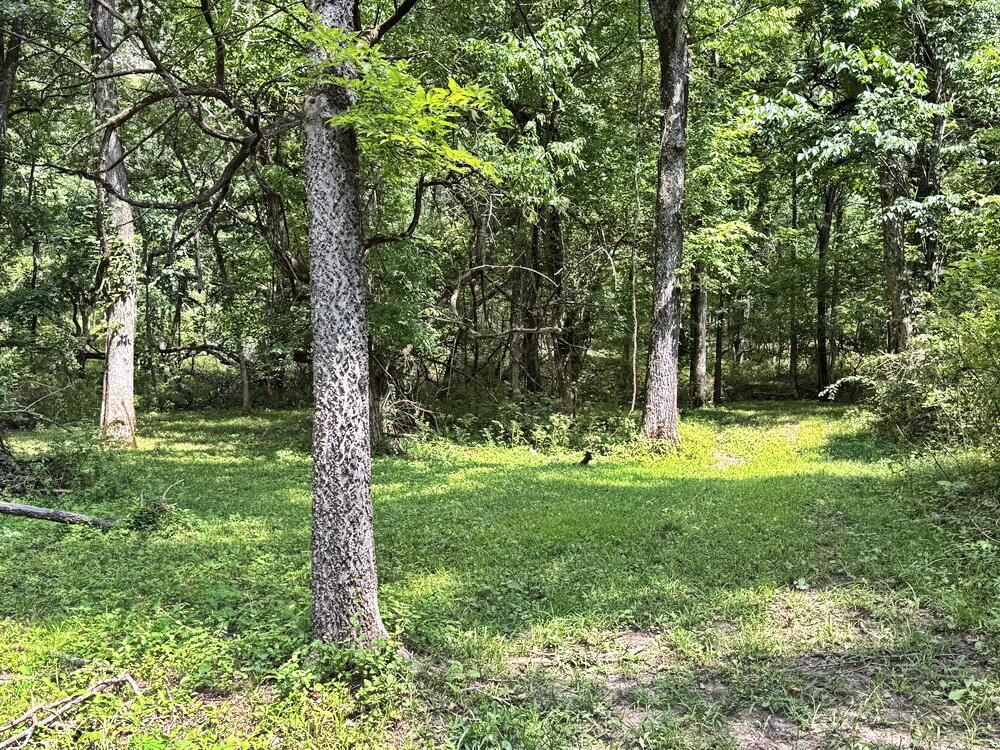 5130 Southwest State Highway H Property Photo 43