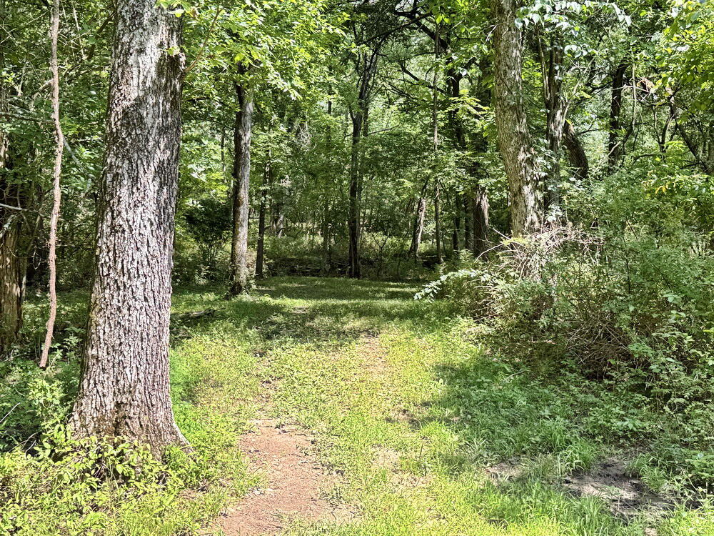 5130 Southwest State Highway H Property Photo 44