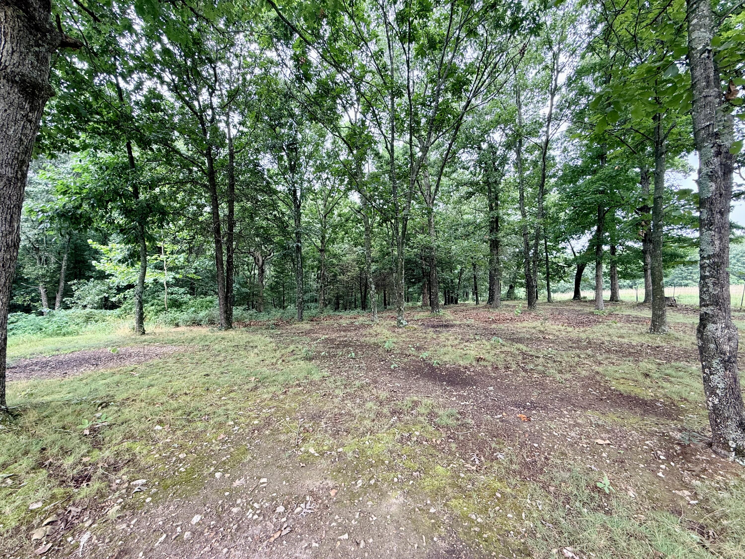 213 Gobblers Ridge Road Property Photo 42
