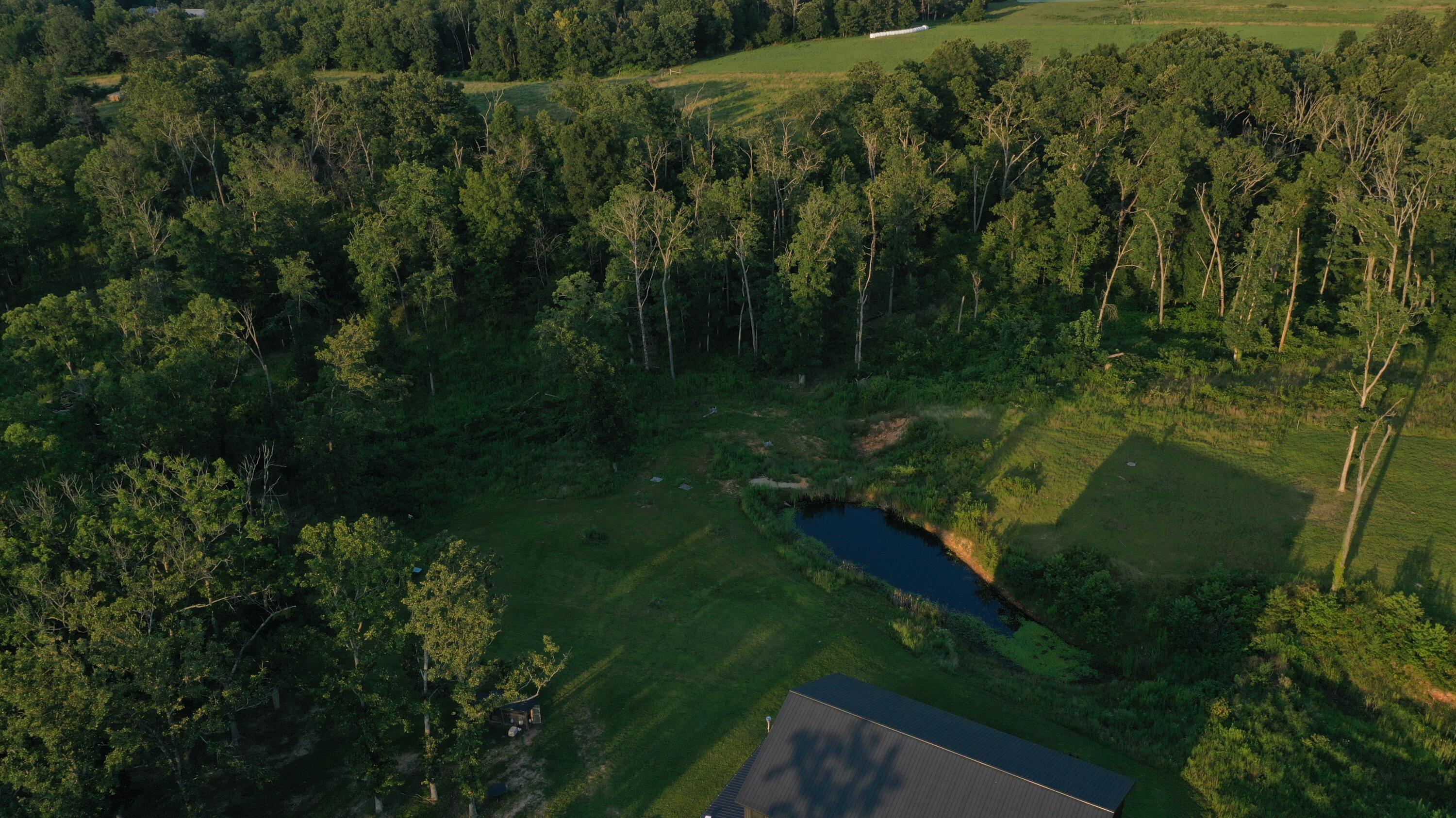 82 Luella Drive Property Photo 64