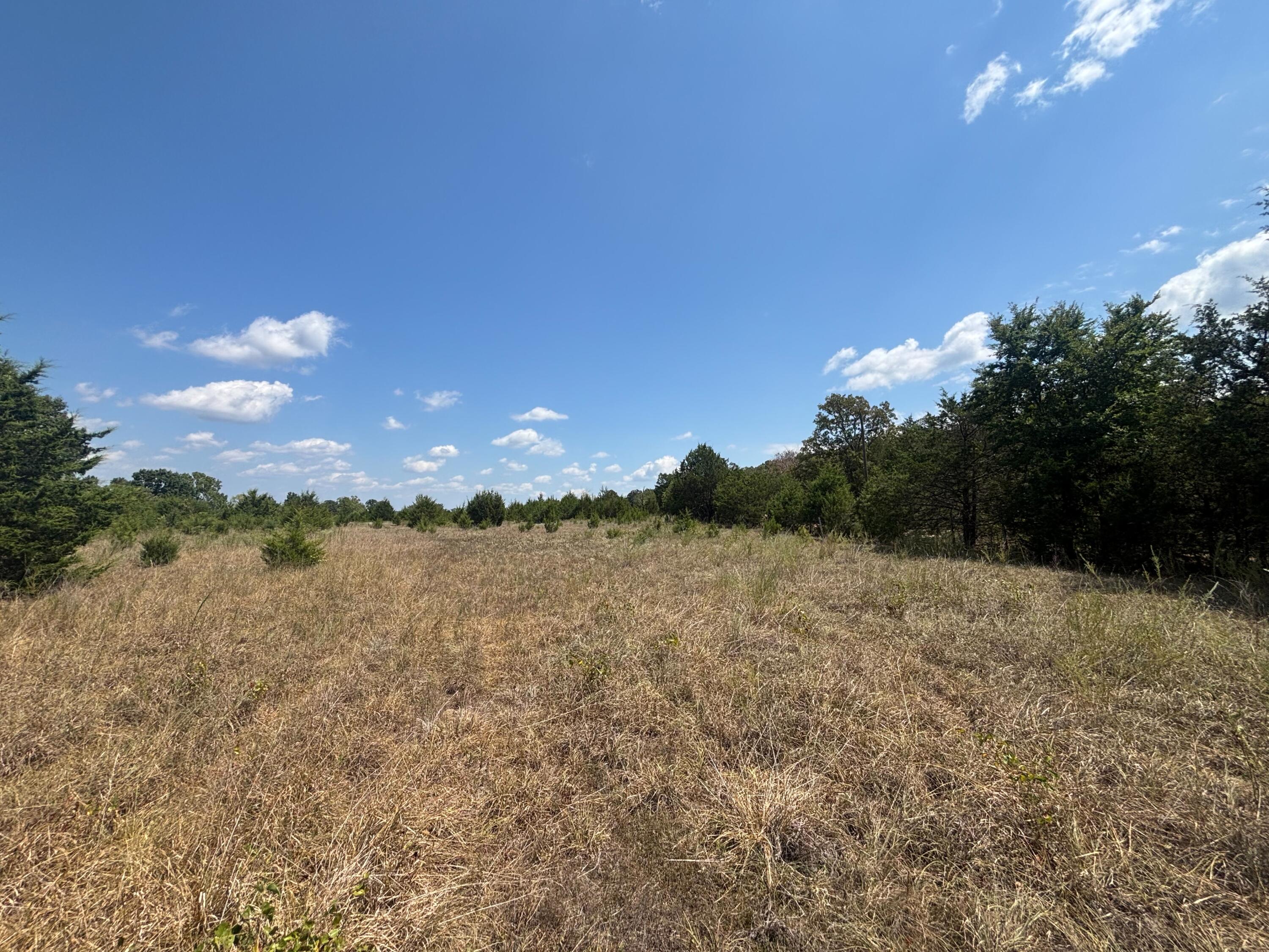 Tract 4 Little Woods Road Property Photo 16