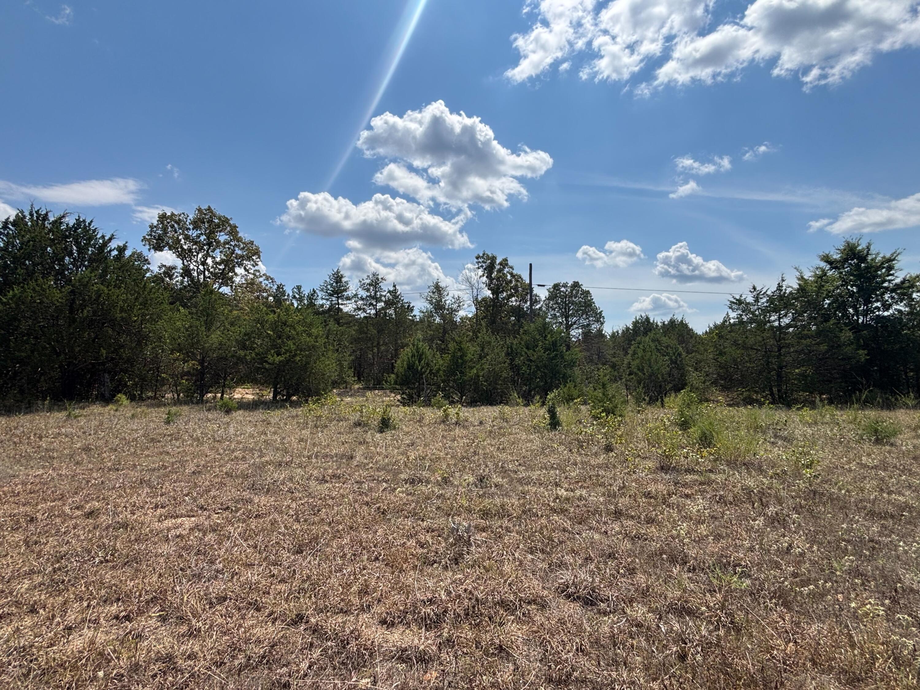 Tract 4 Little Woods Road Property Photo 19
