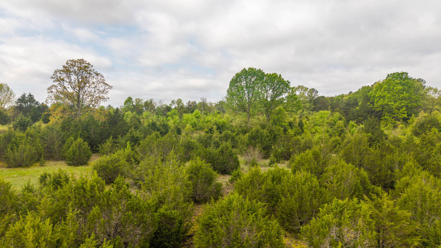 Tract 6 Little Woods Road Property Photo 10