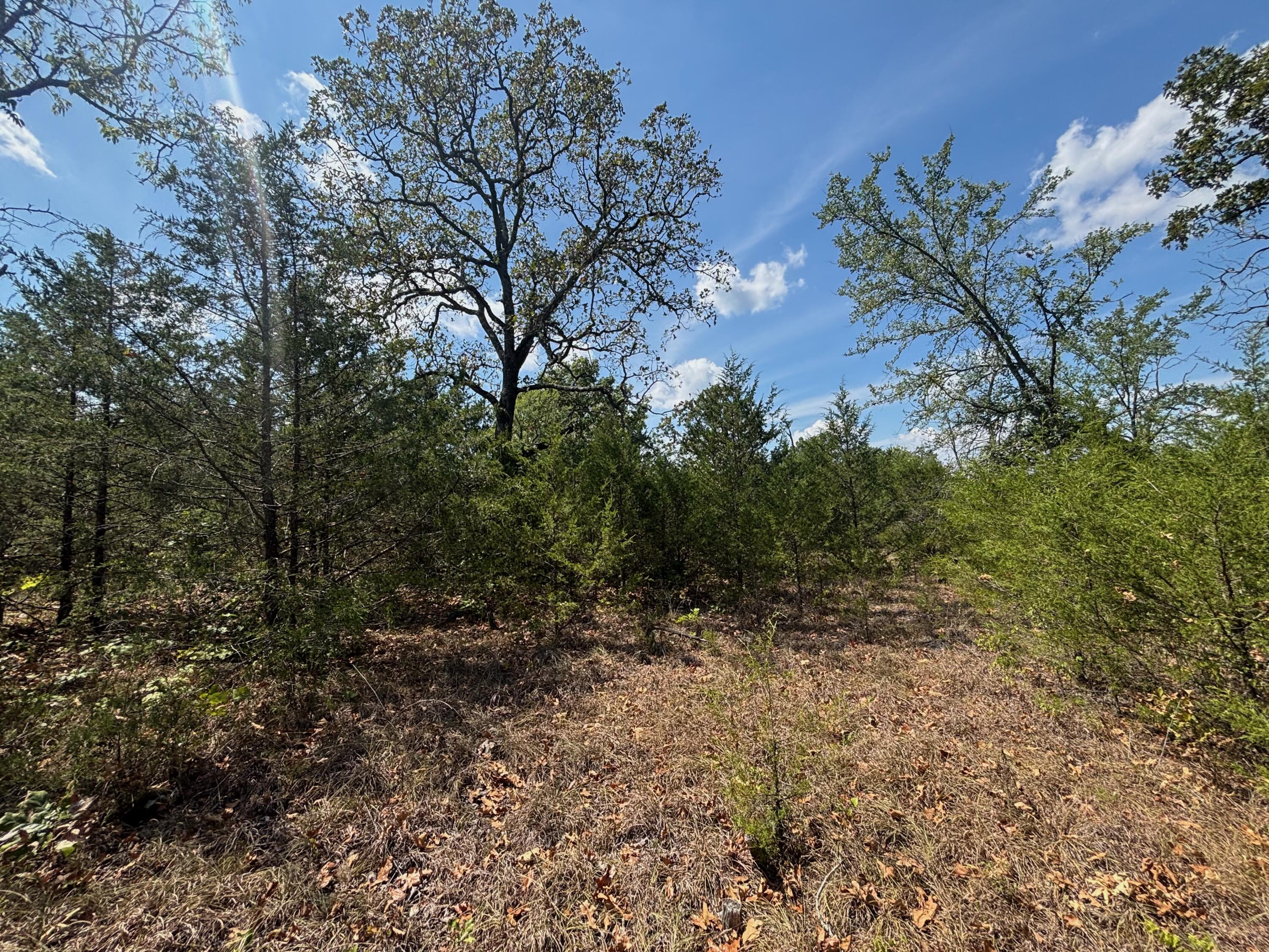 Tract 8 Little Woods Road Property Photo 20