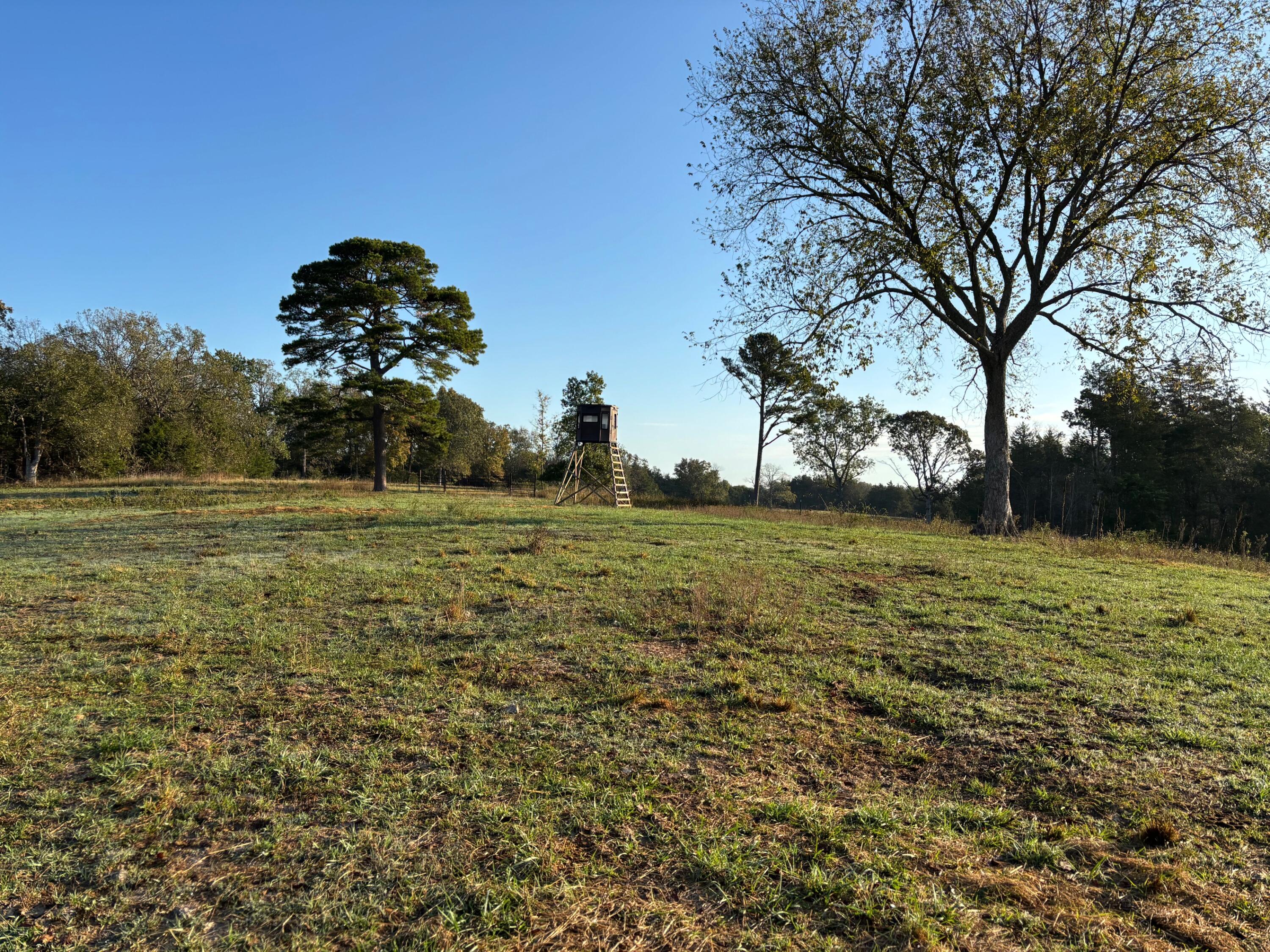 Tbd County Road 14-252 Property Photo 7