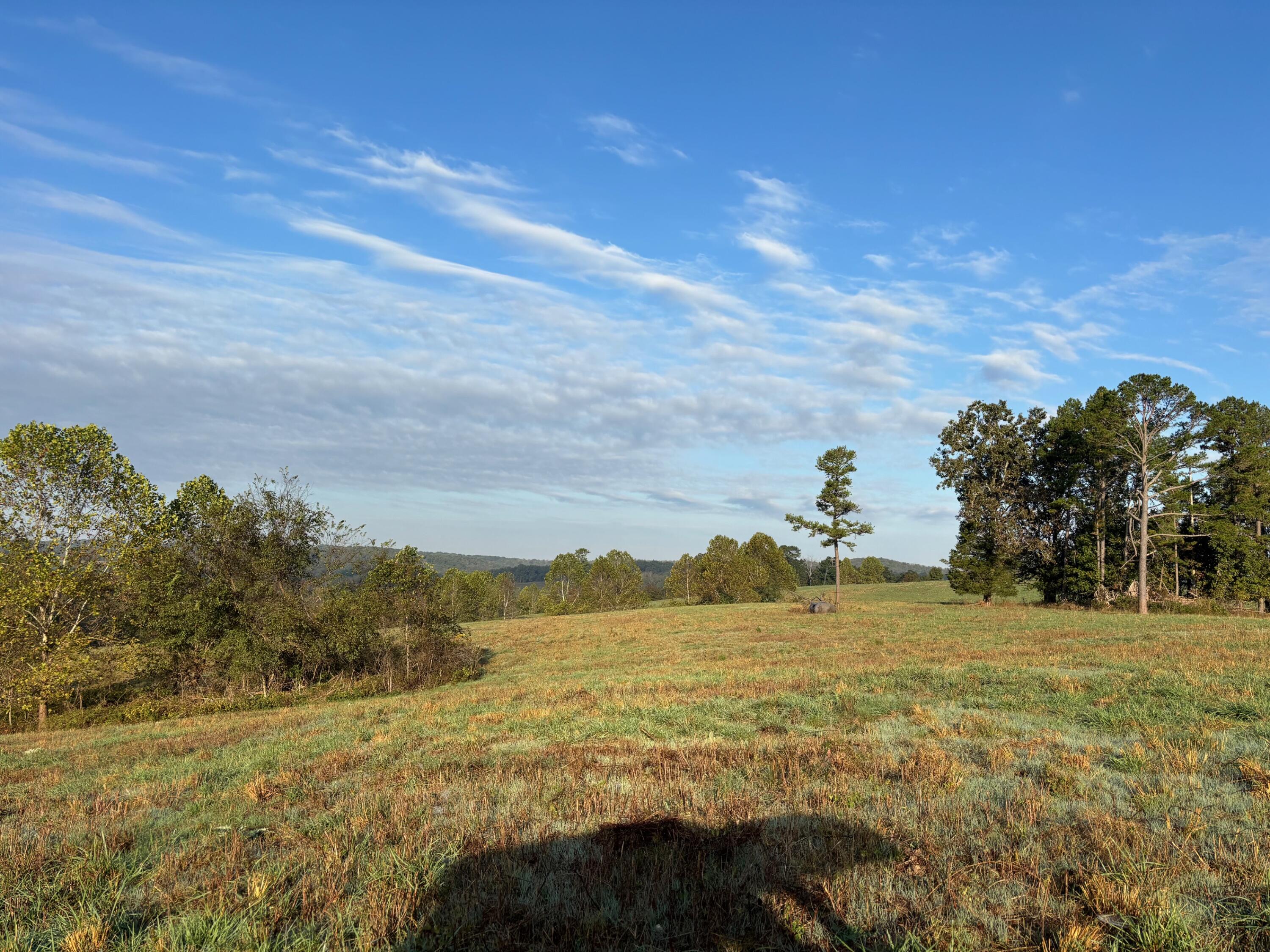 Tbd County Road 14-252 Property Photo 9