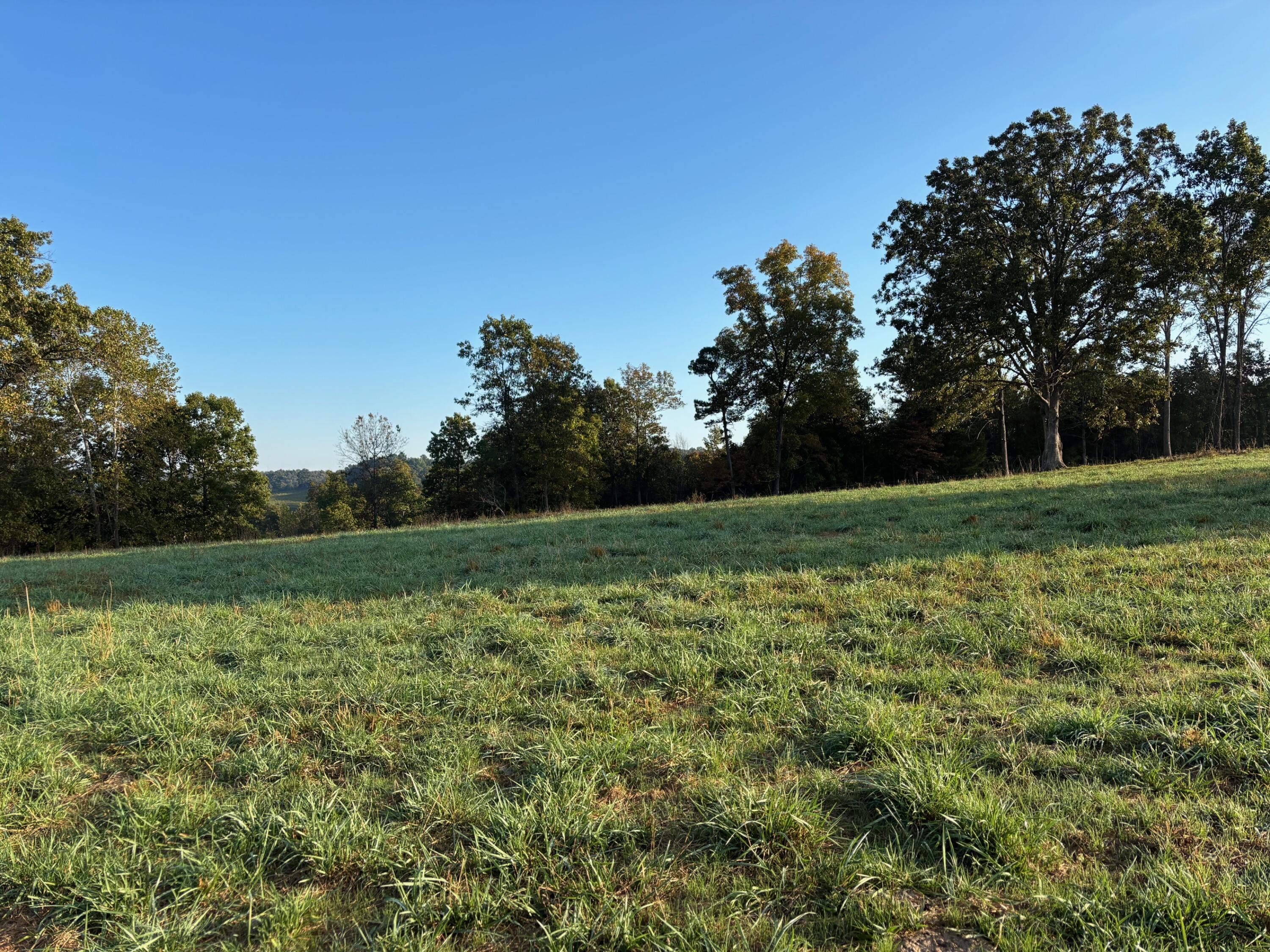 Tbd County Road 14-252 Property Photo 11