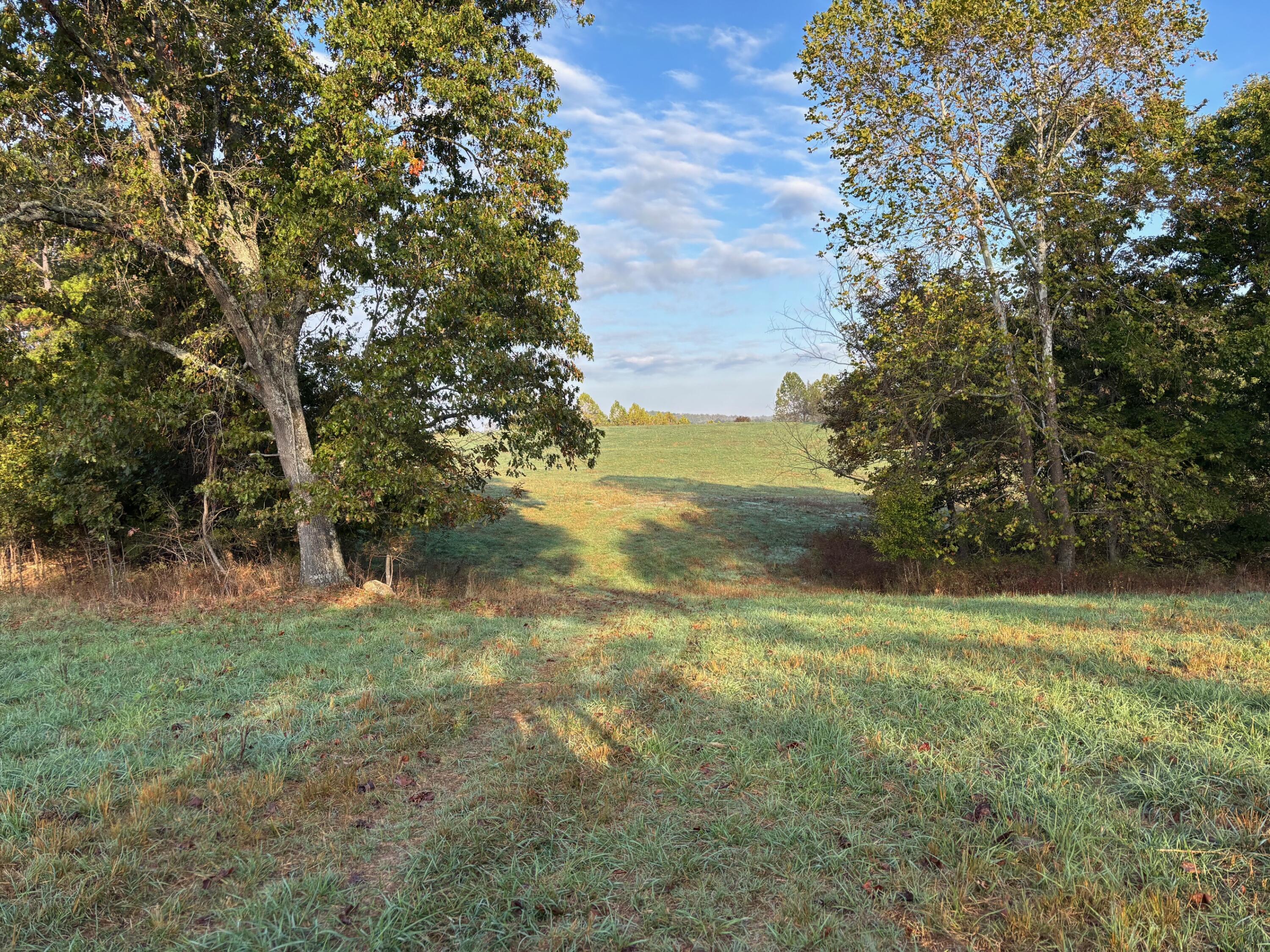 Tbd County Road 14-252 Property Photo 13