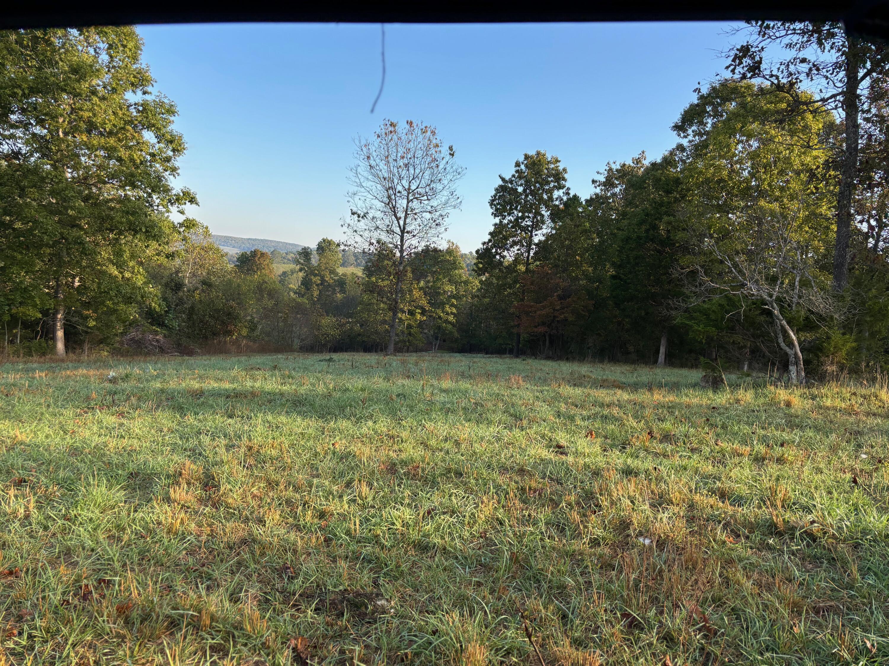 Tbd County Road 14-252 Property Photo 14