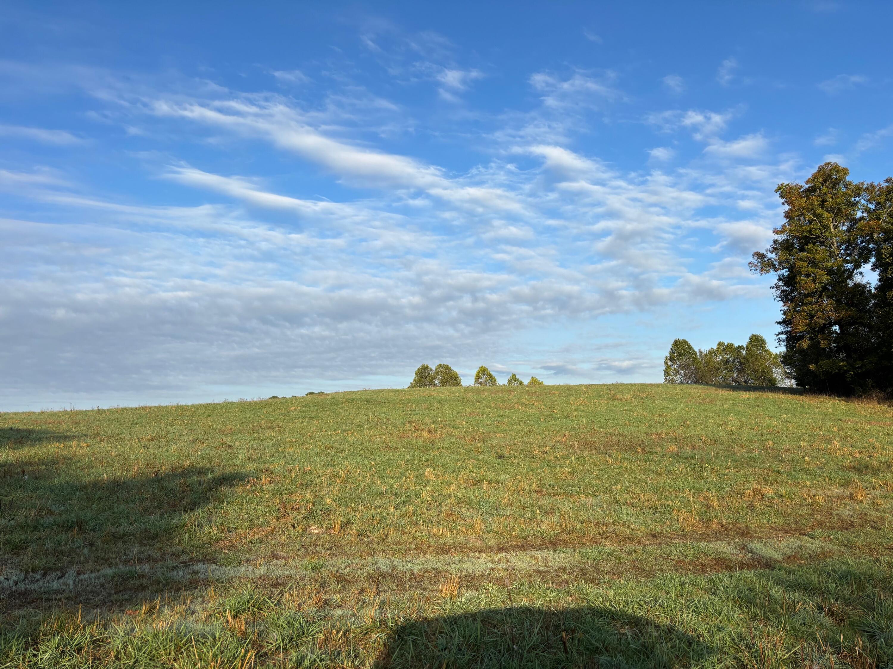 Tbd County Road 14-252 Property Photo 15
