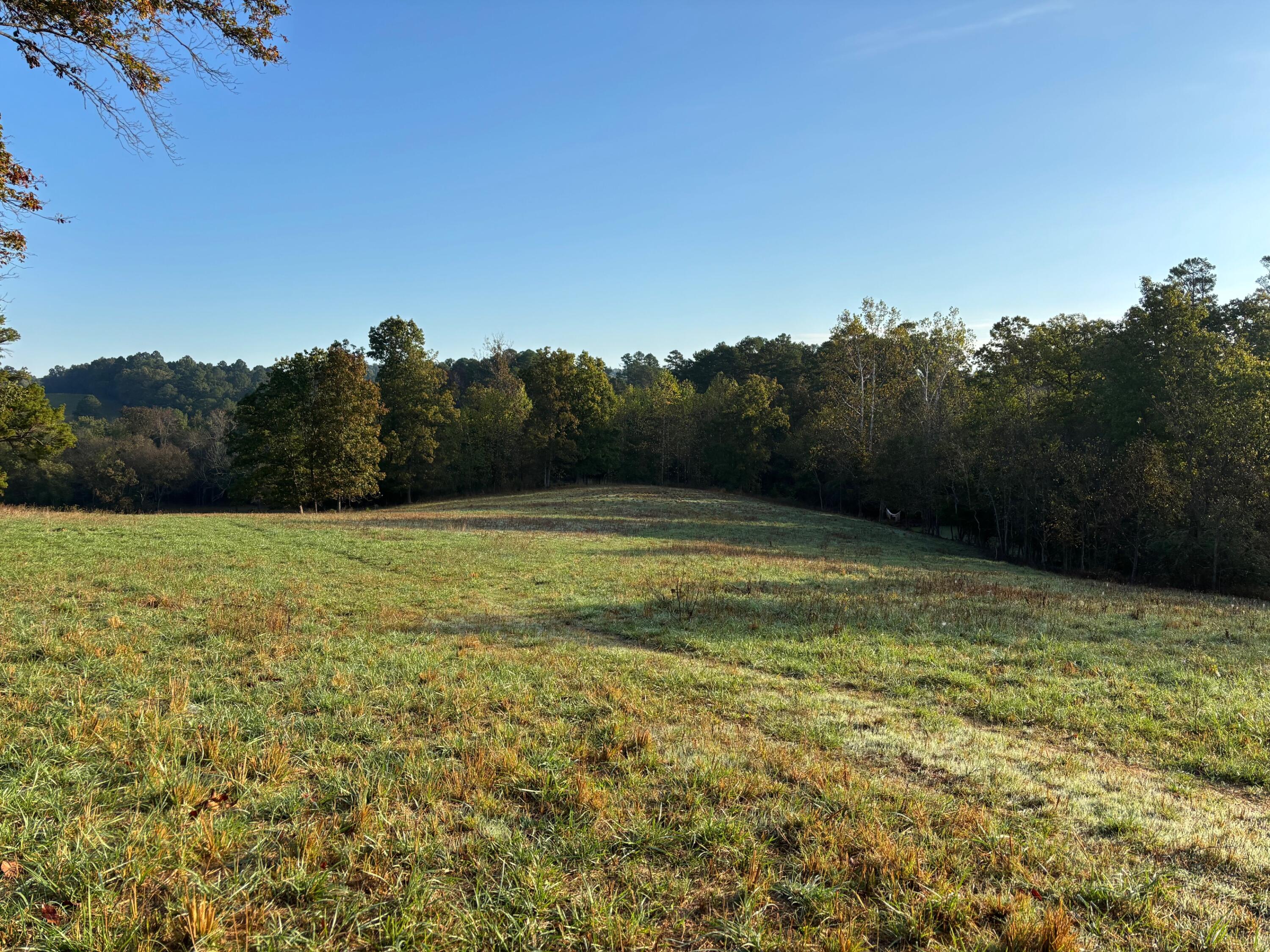 Tbd County Road 14-252 Property Photo 16