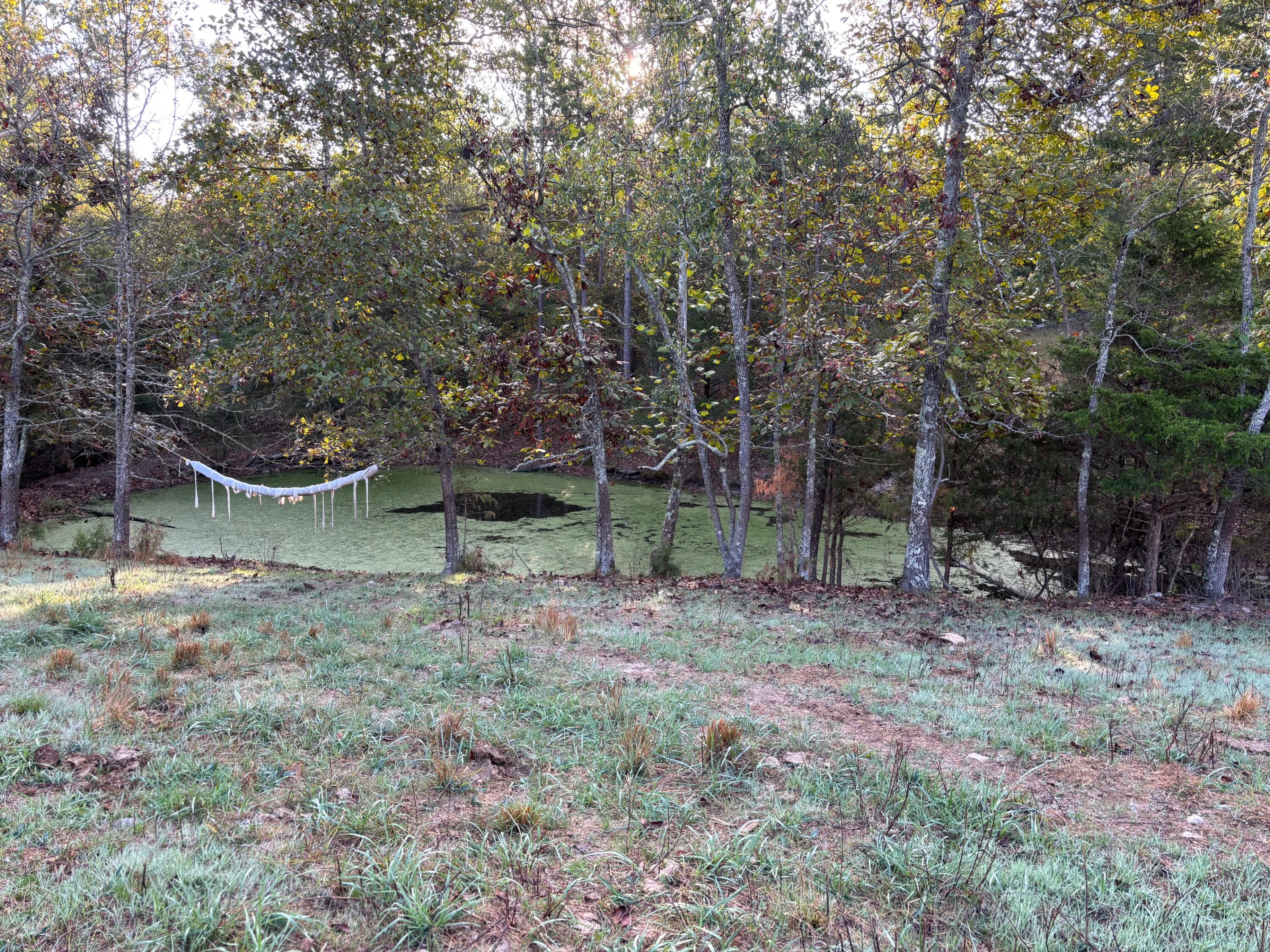 Tbd County Road 14-252 Property Photo 17