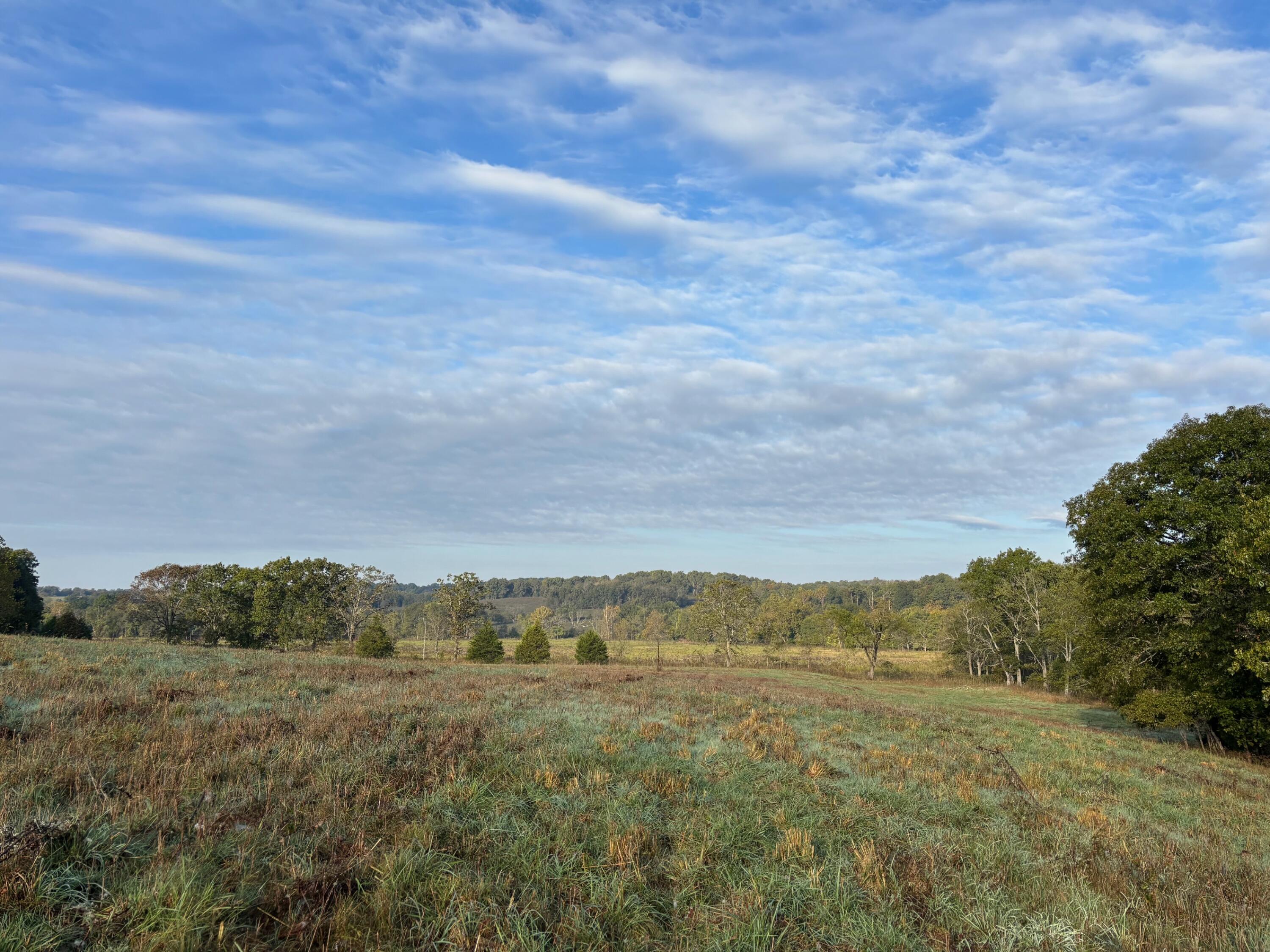 Tbd County Road 14-252 Property Photo 19