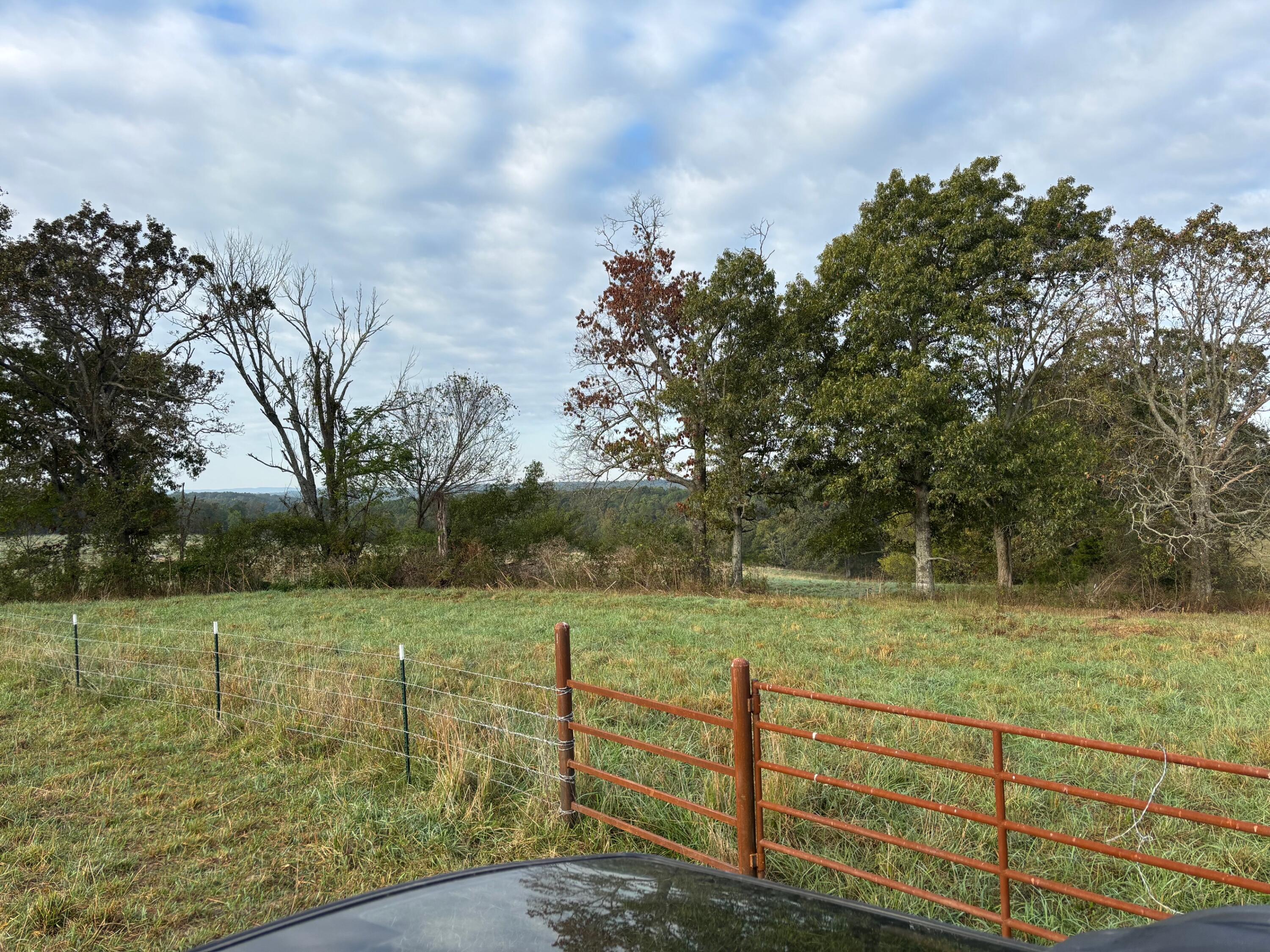 Tbd County Road 14-252 Property Photo 21