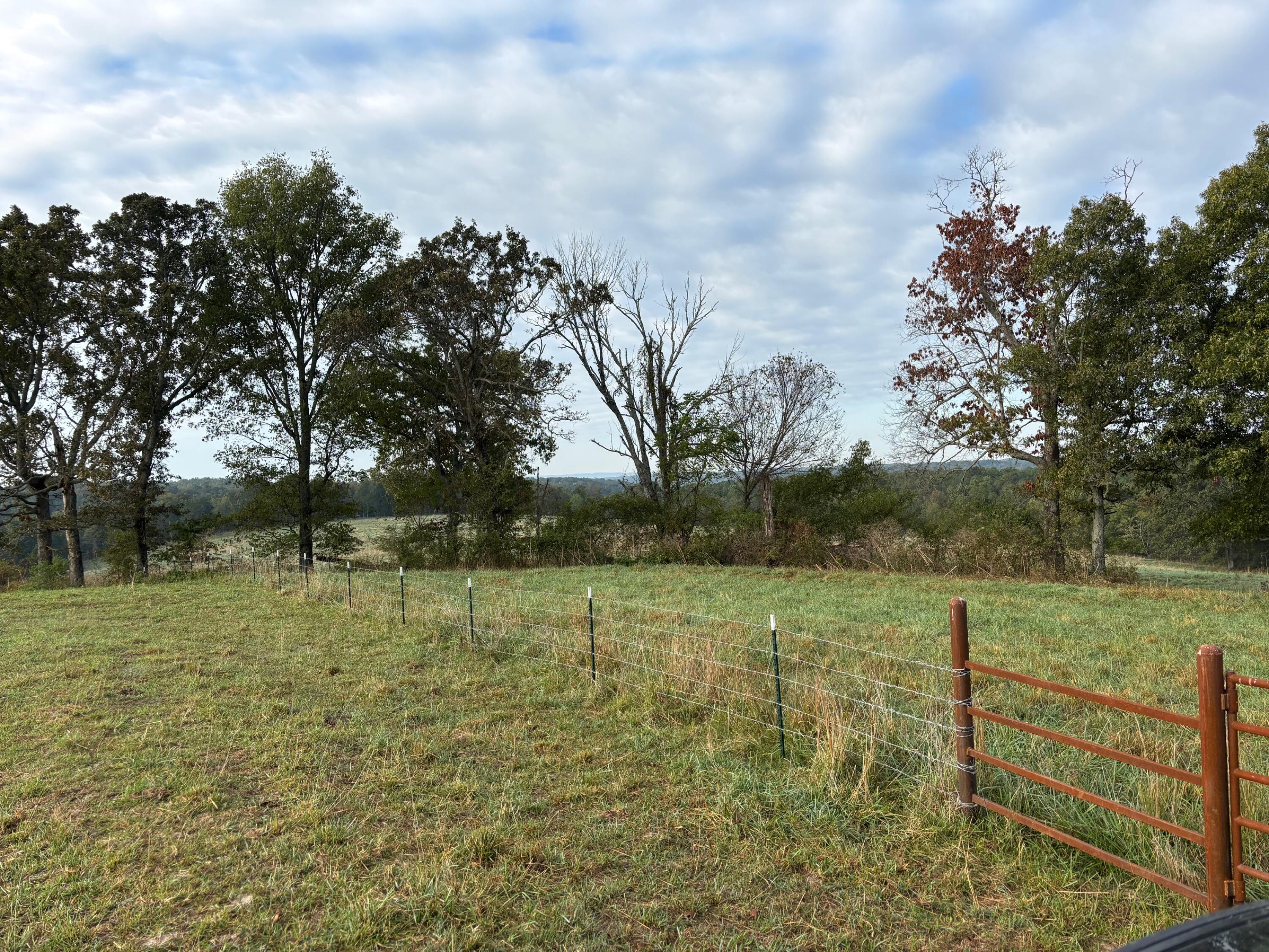 Tbd County Road 14-252 Property Photo 22