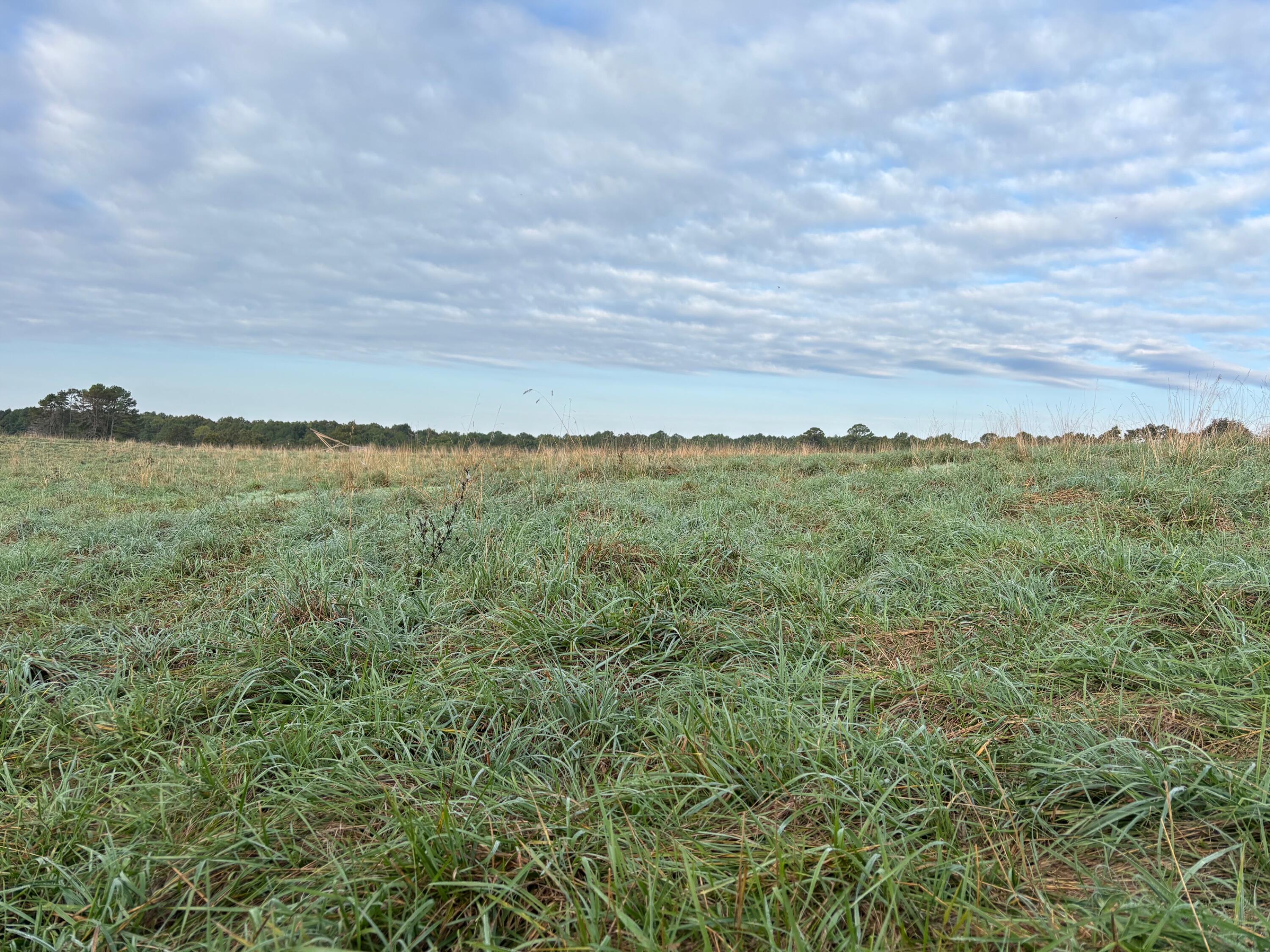 Tbd County Road 14-252 Property Photo 24