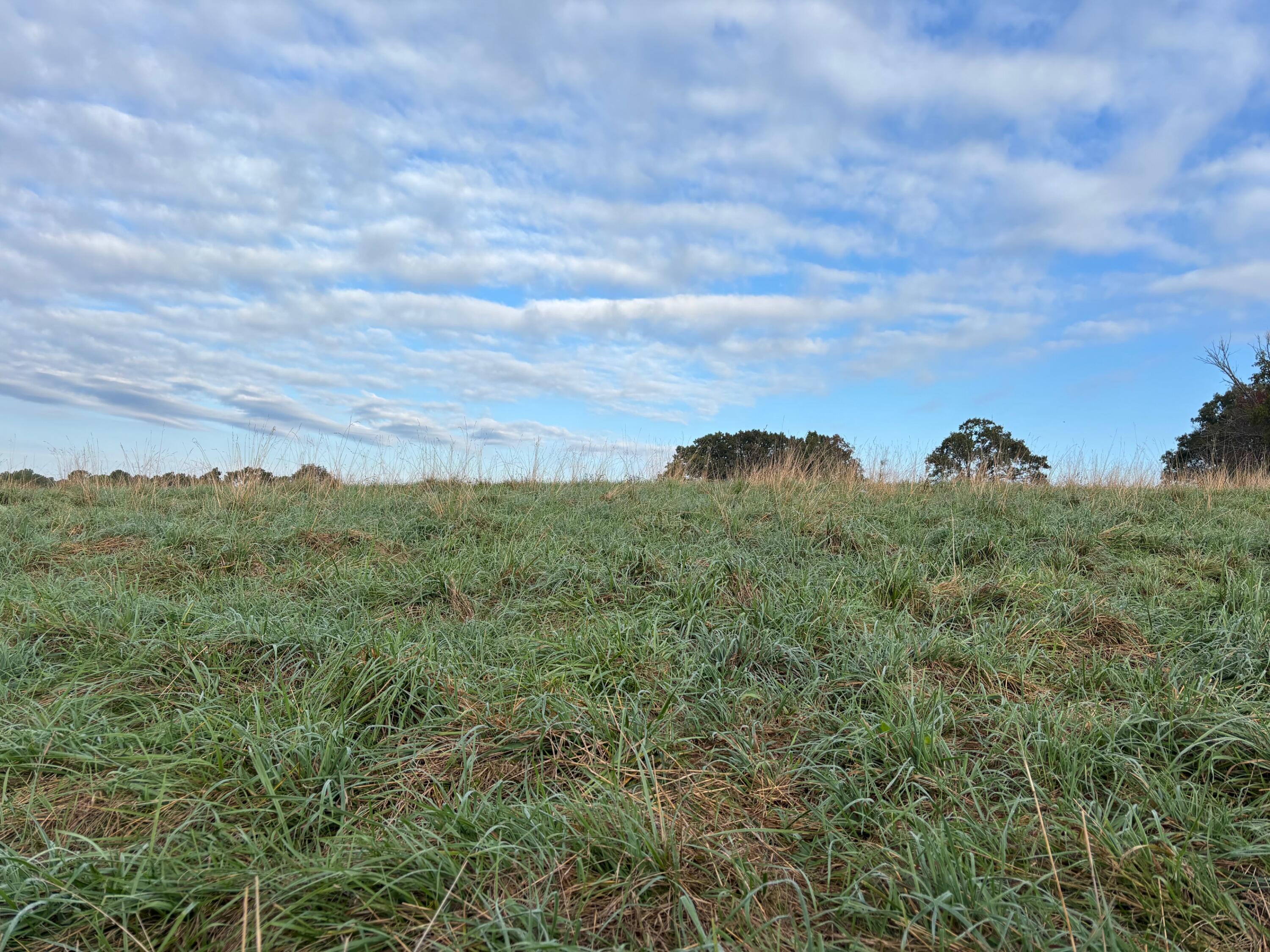 Tbd County Road 14-252 Property Photo 25