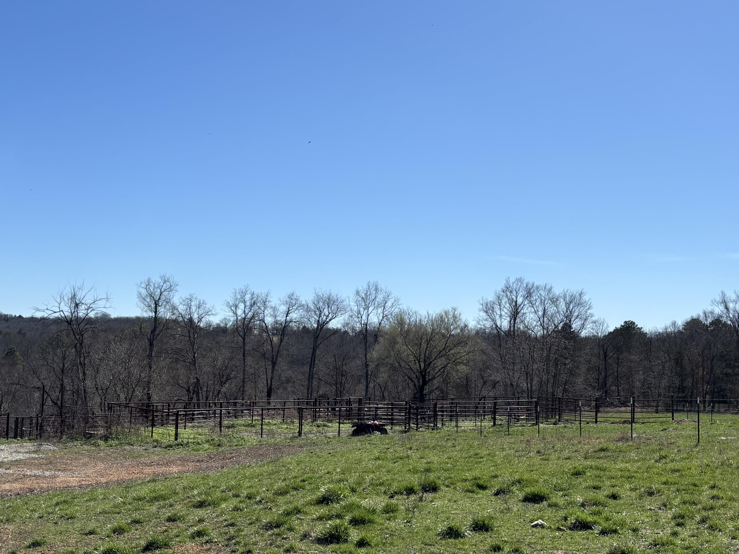 Tbd County Road 14-252 Property Photo 26