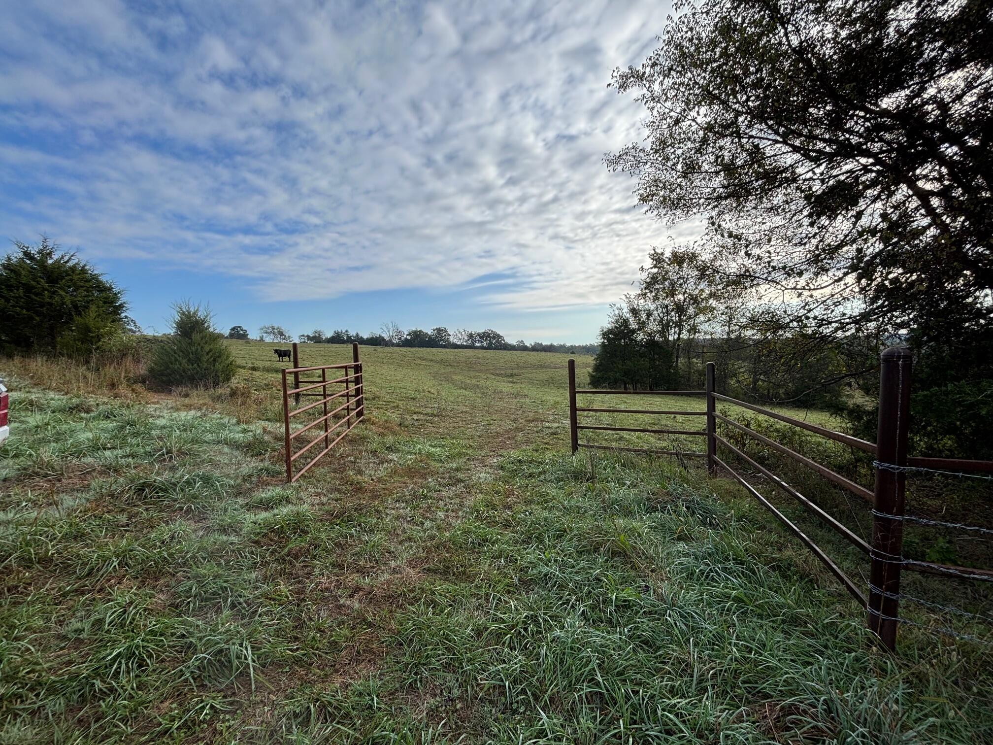 Tbd County Road 14-252 Property Photo 27