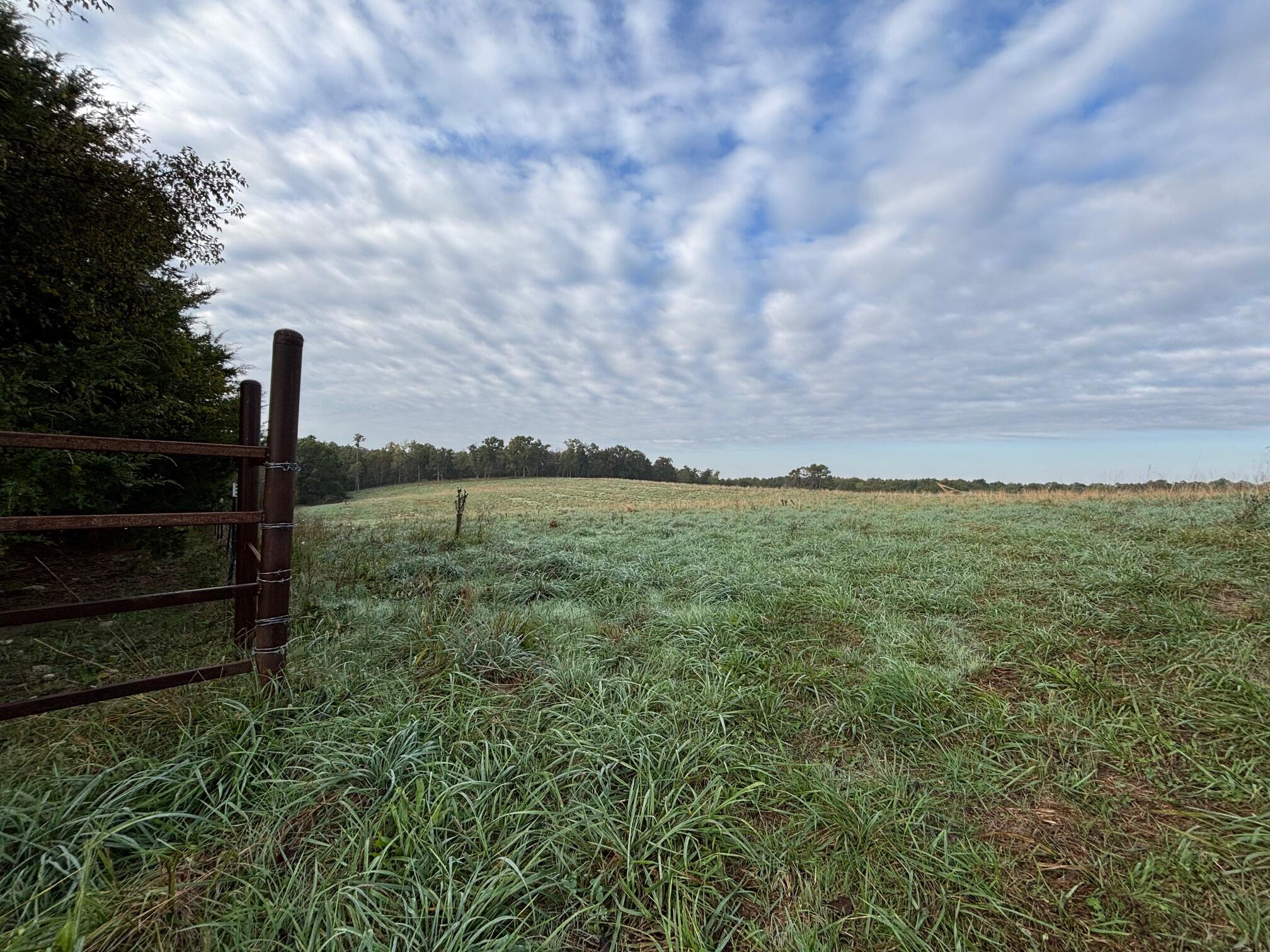 Tbd County Road 14-252 Property Photo 28