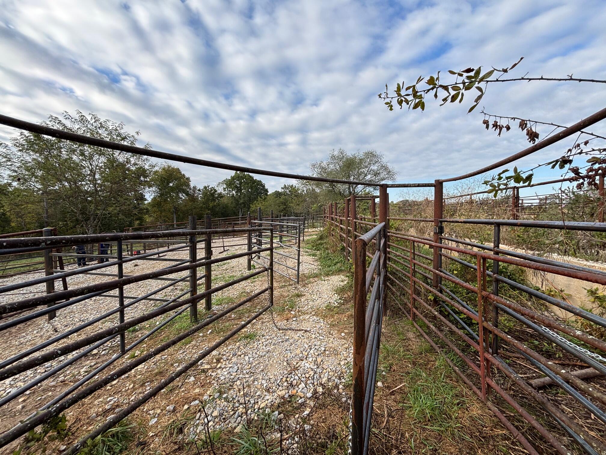 Tbd County Road 14-252 Property Photo 31