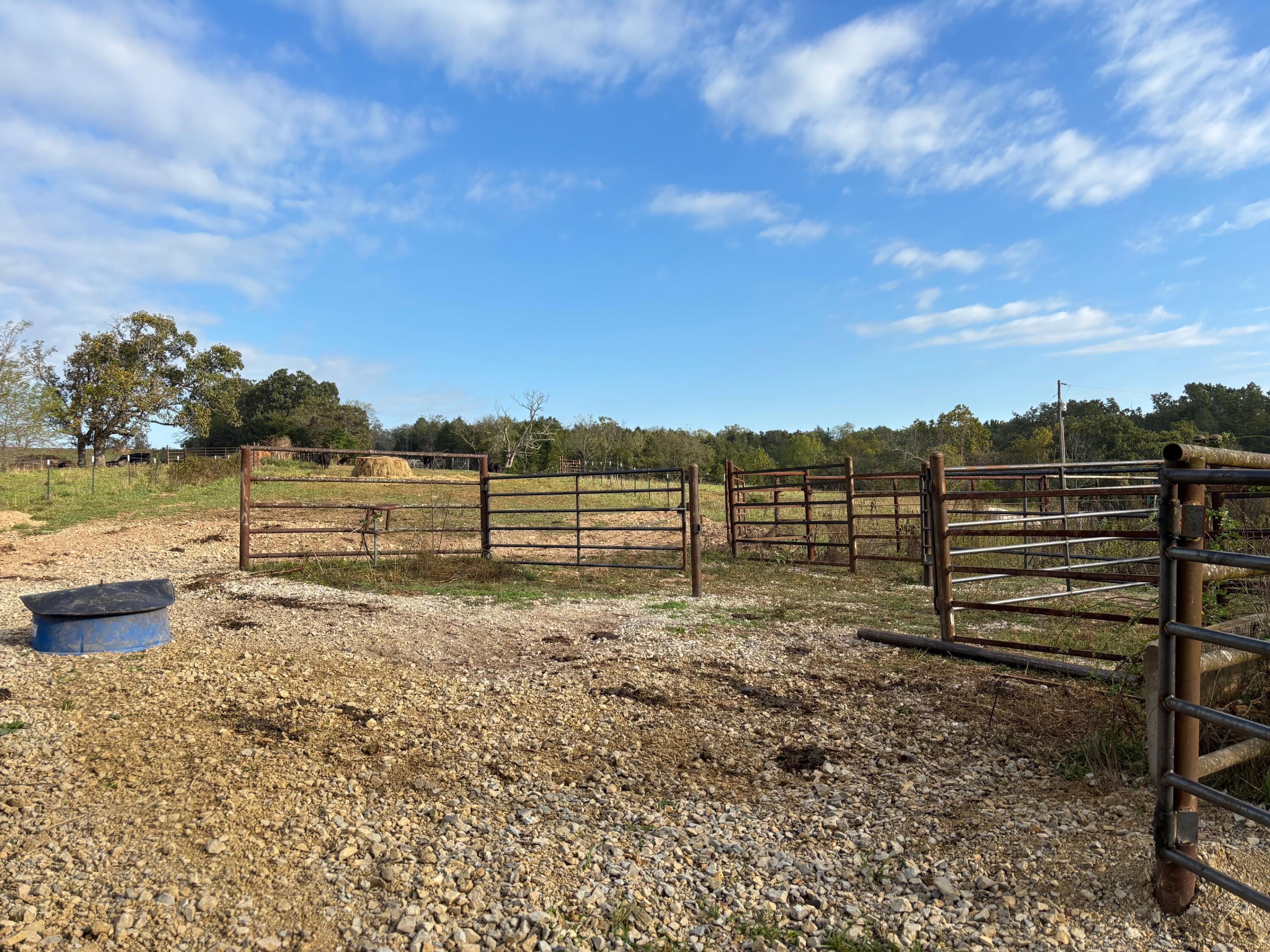 Tbd County Road 14-252 Property Photo 35