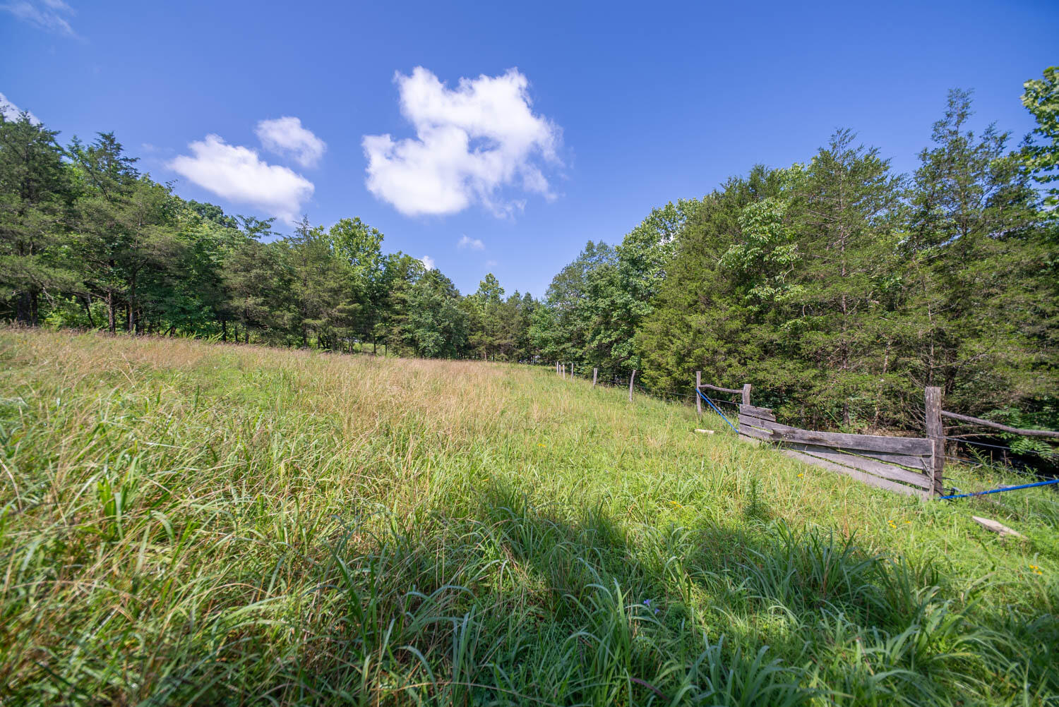 1351 State Highway W Property Photo 66