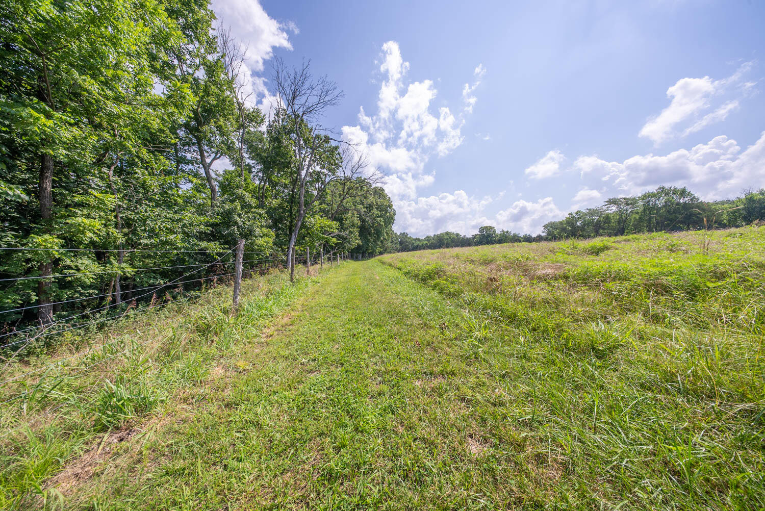 1351 State Highway W Property Photo 67