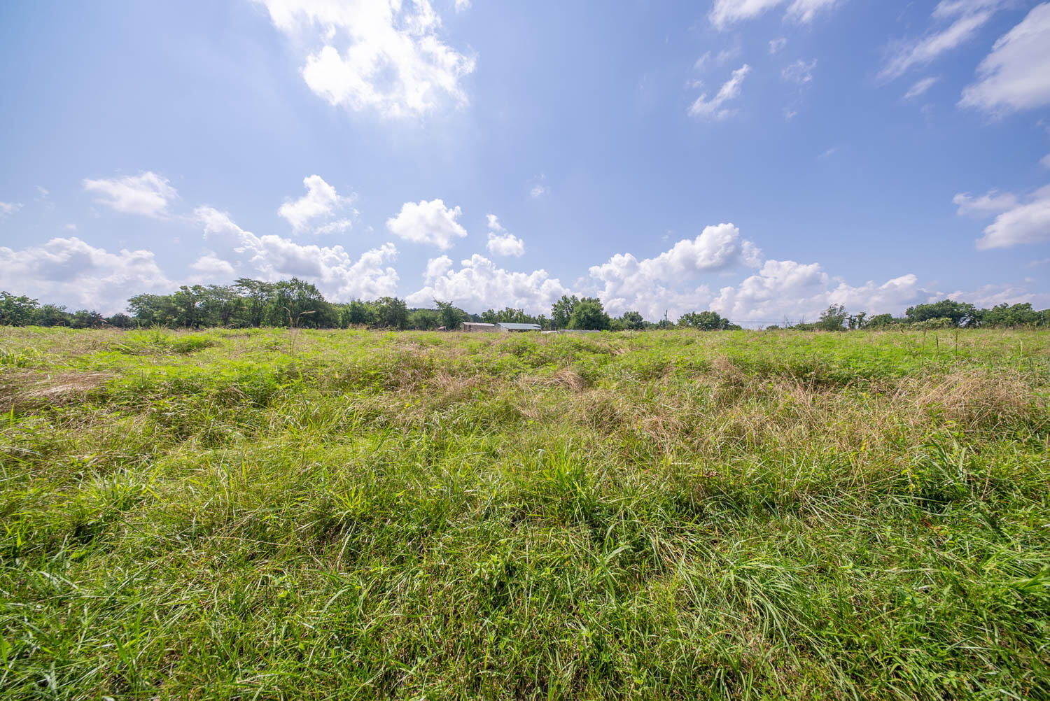 1351 State Highway W Property Photo 68