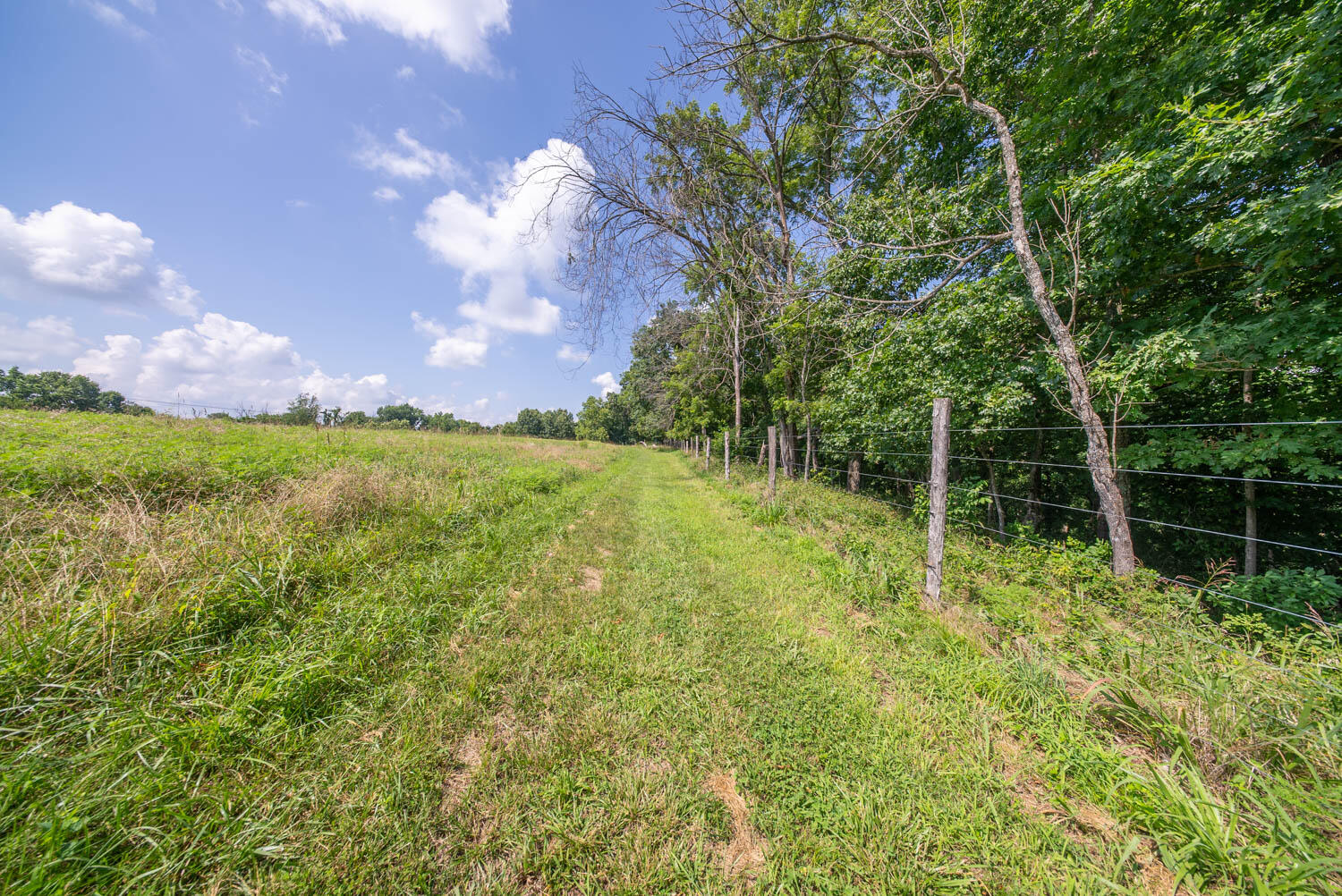 1351 State Highway W Property Photo 69
