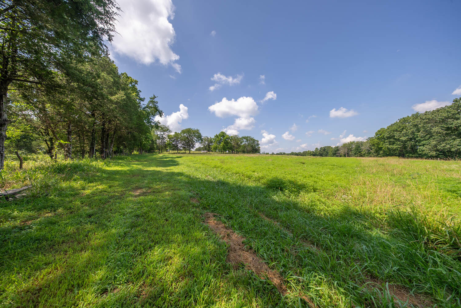 1351 State Highway W Property Photo 70