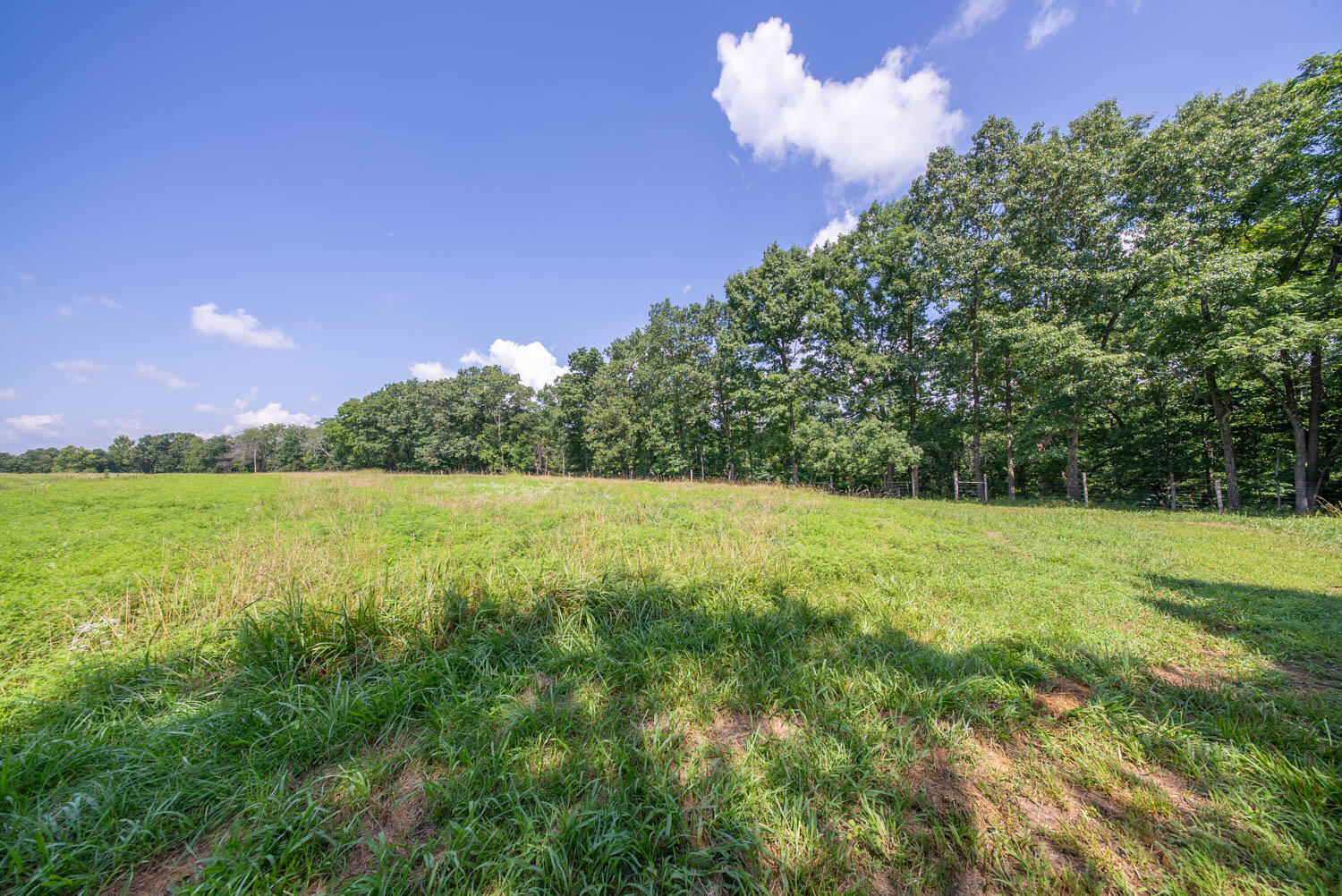 1351 State Highway W Property Photo 71