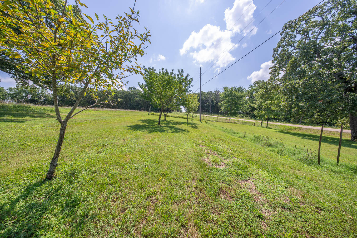 1351 State Highway W Property Photo 72