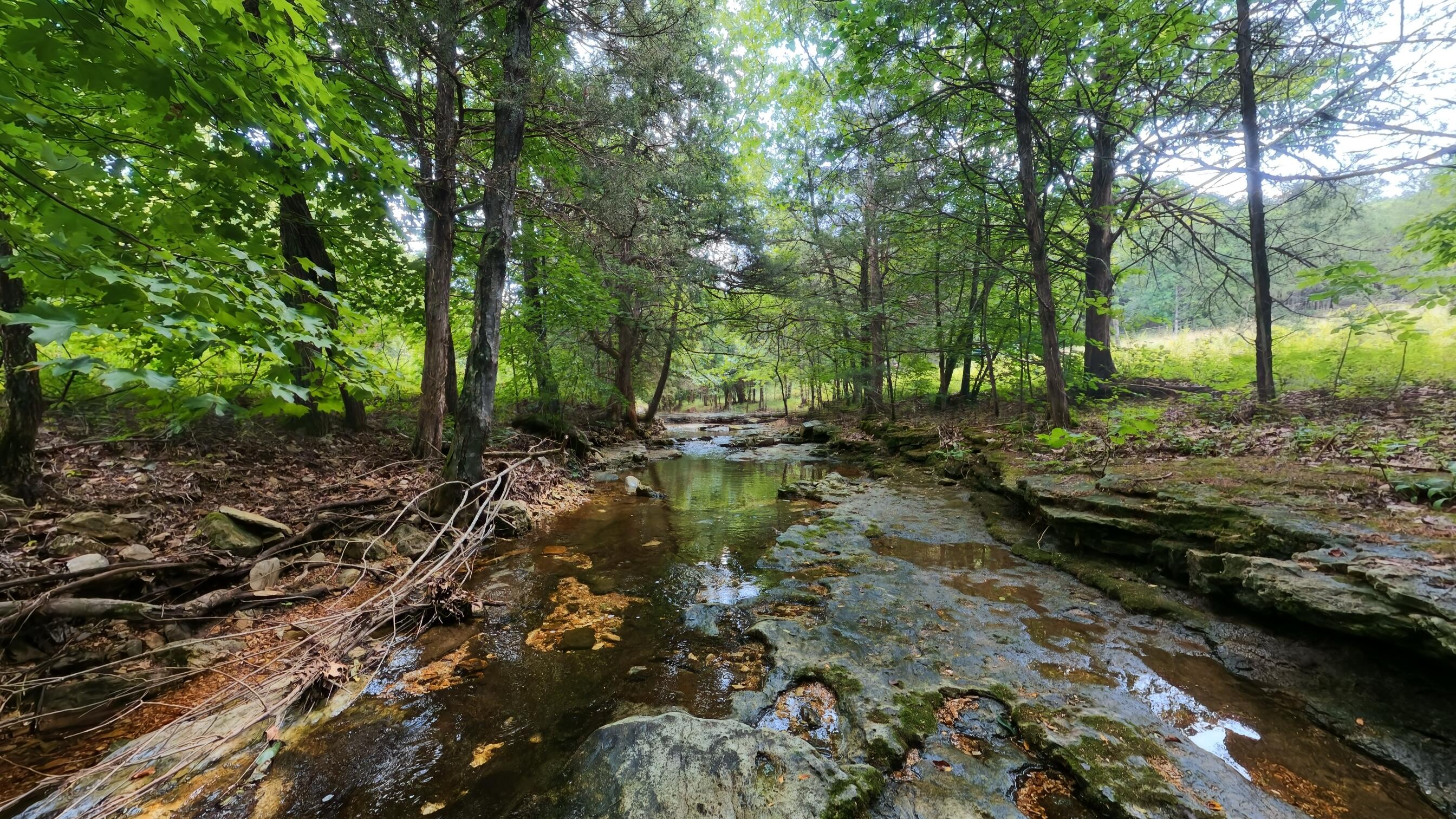1351 State Highway W Property Photo 77
