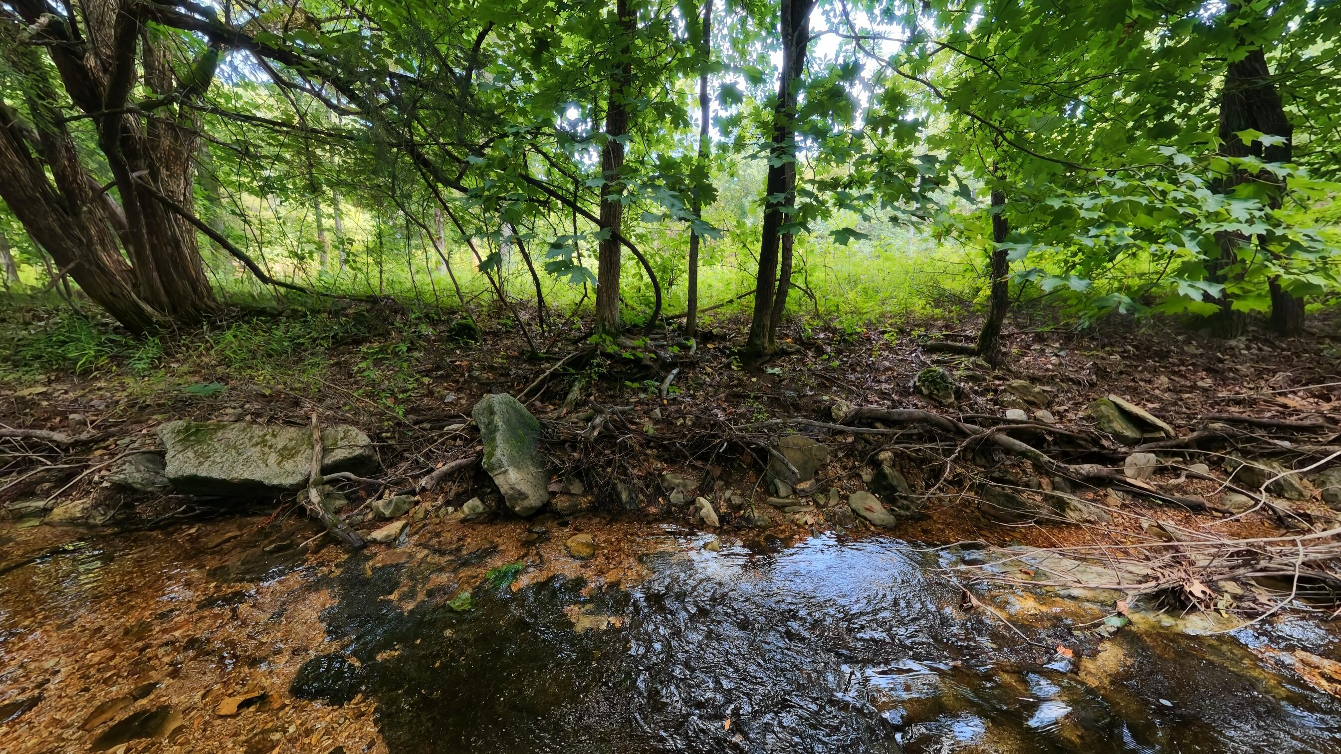 1351 State Highway W Property Photo 80