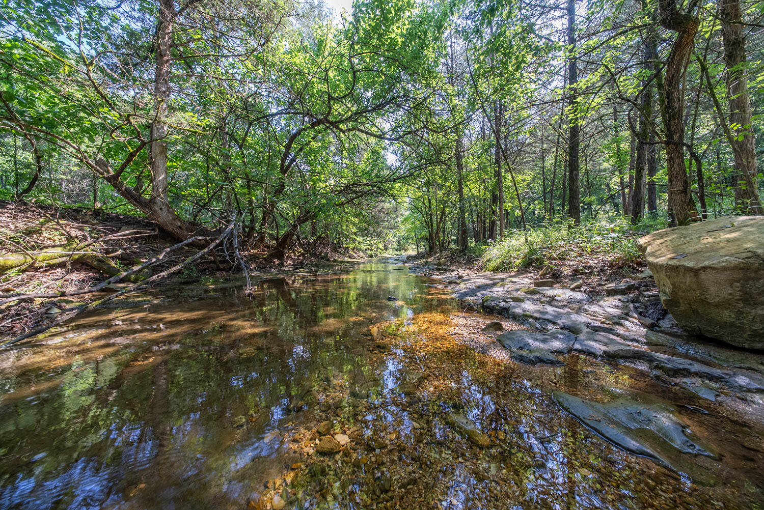 1351 State Highway W Property Photo 86