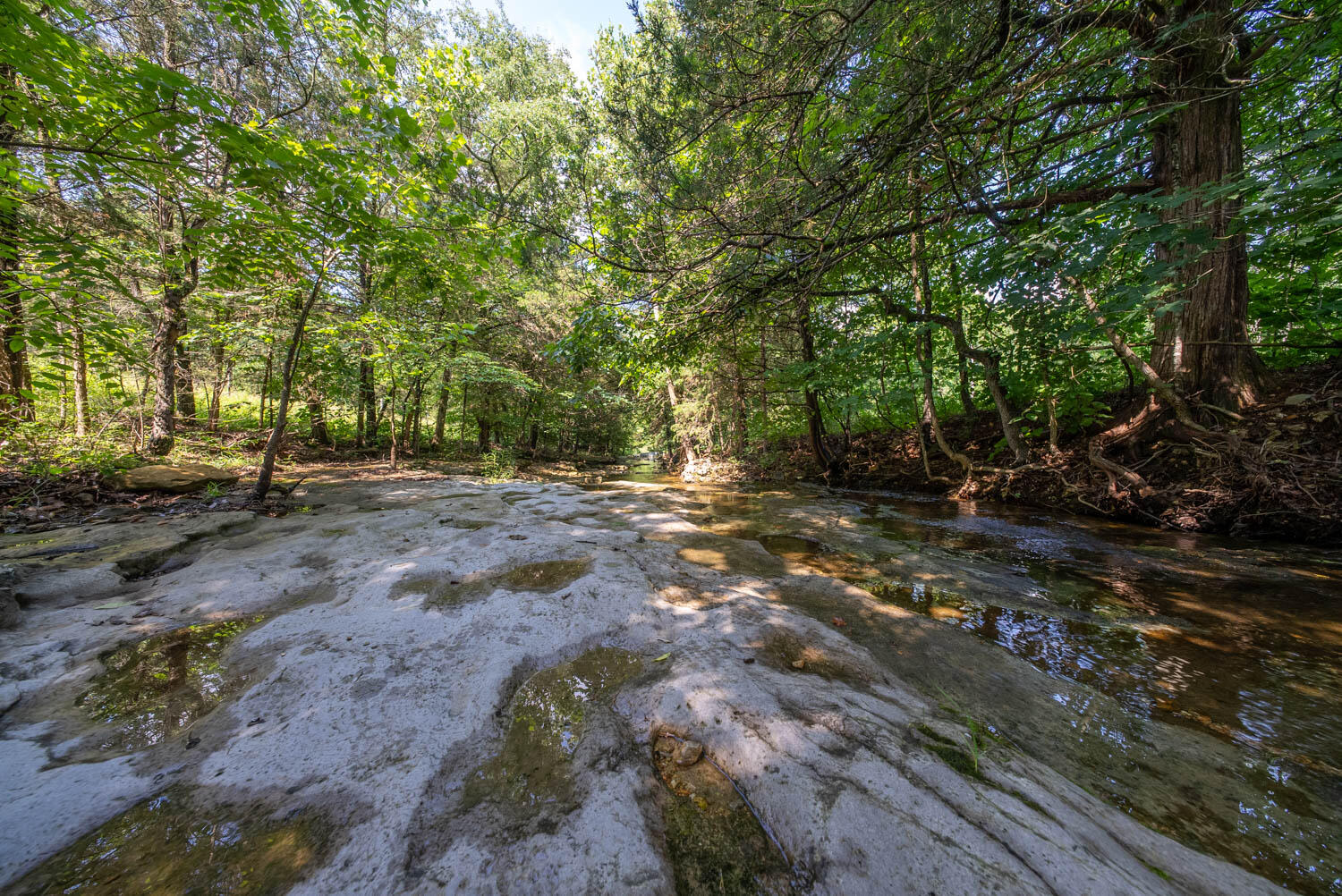 1351 State Highway W Property Photo 87