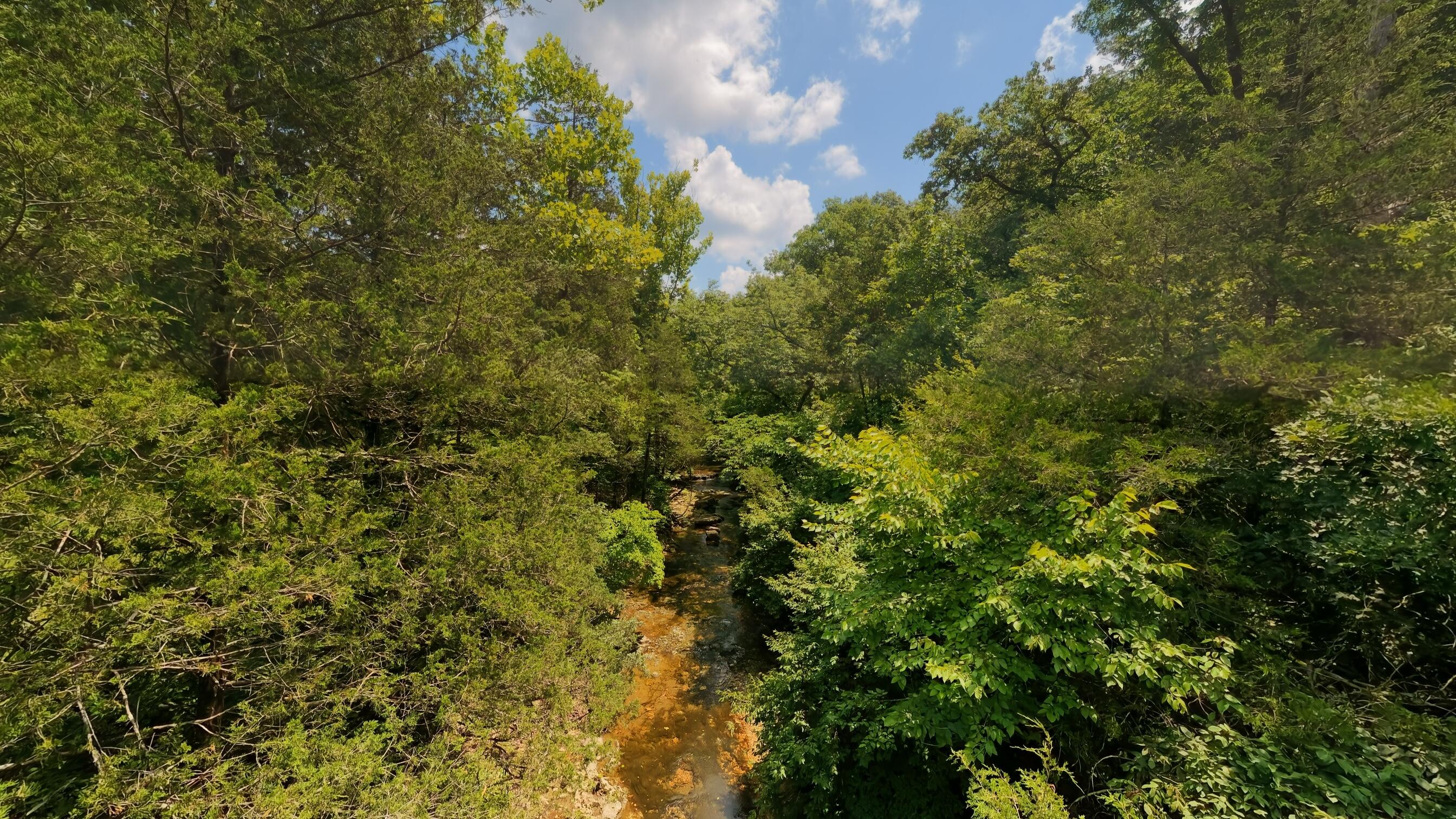 1351 State Highway W Property Photo 90