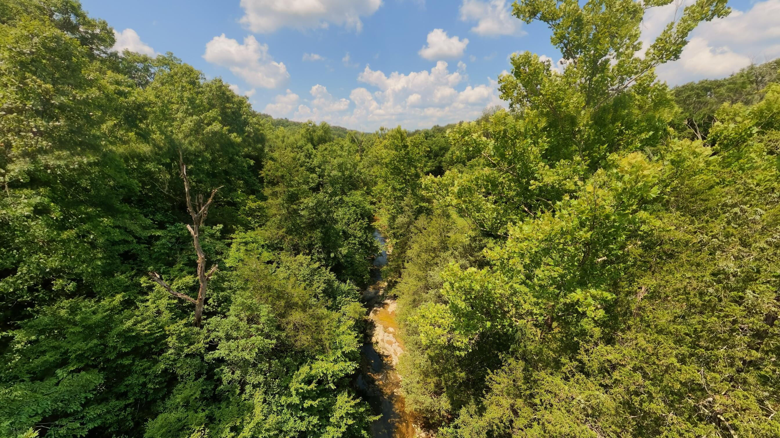 1351 State Highway W Property Photo 94