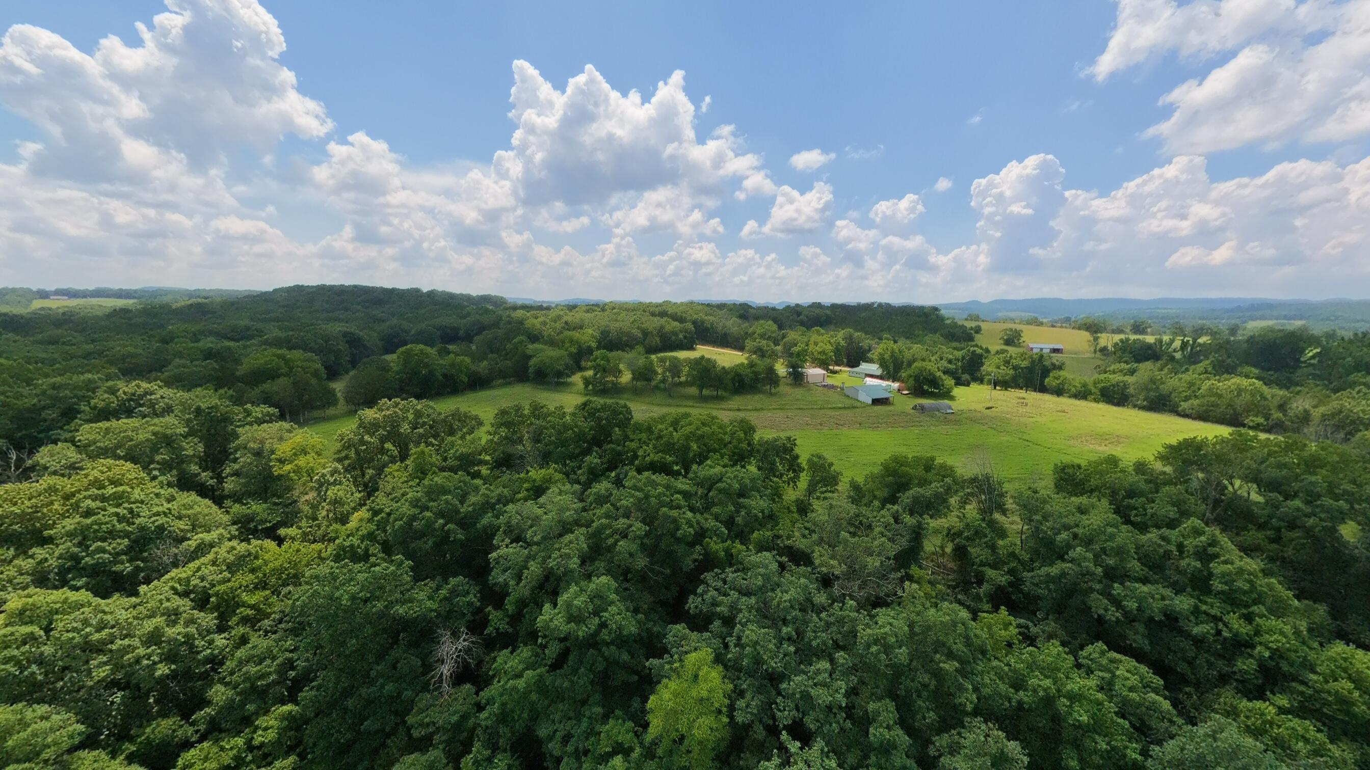 1351 State Highway W Property Photo 101