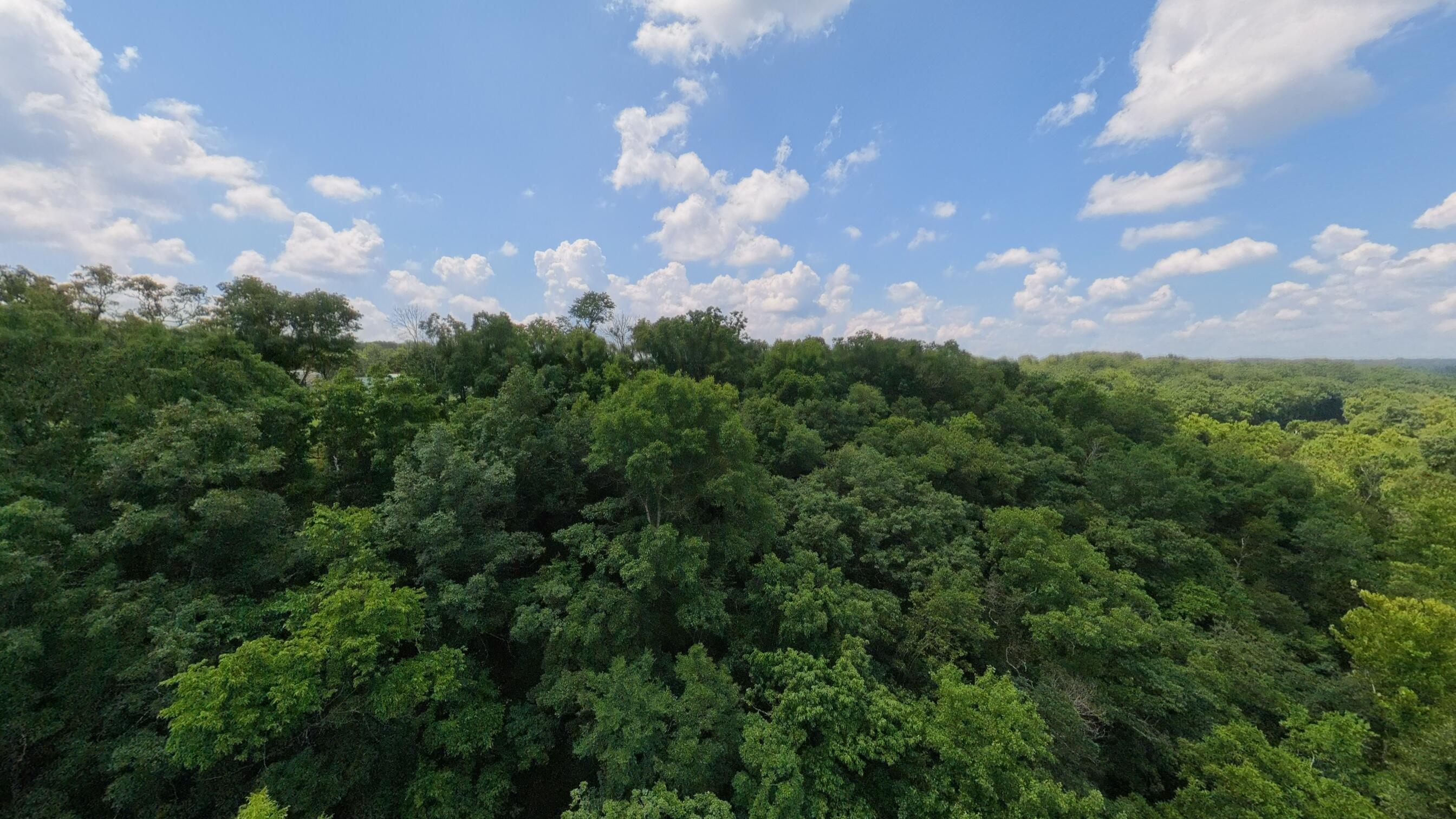 1351 State Highway W Property Photo 103
