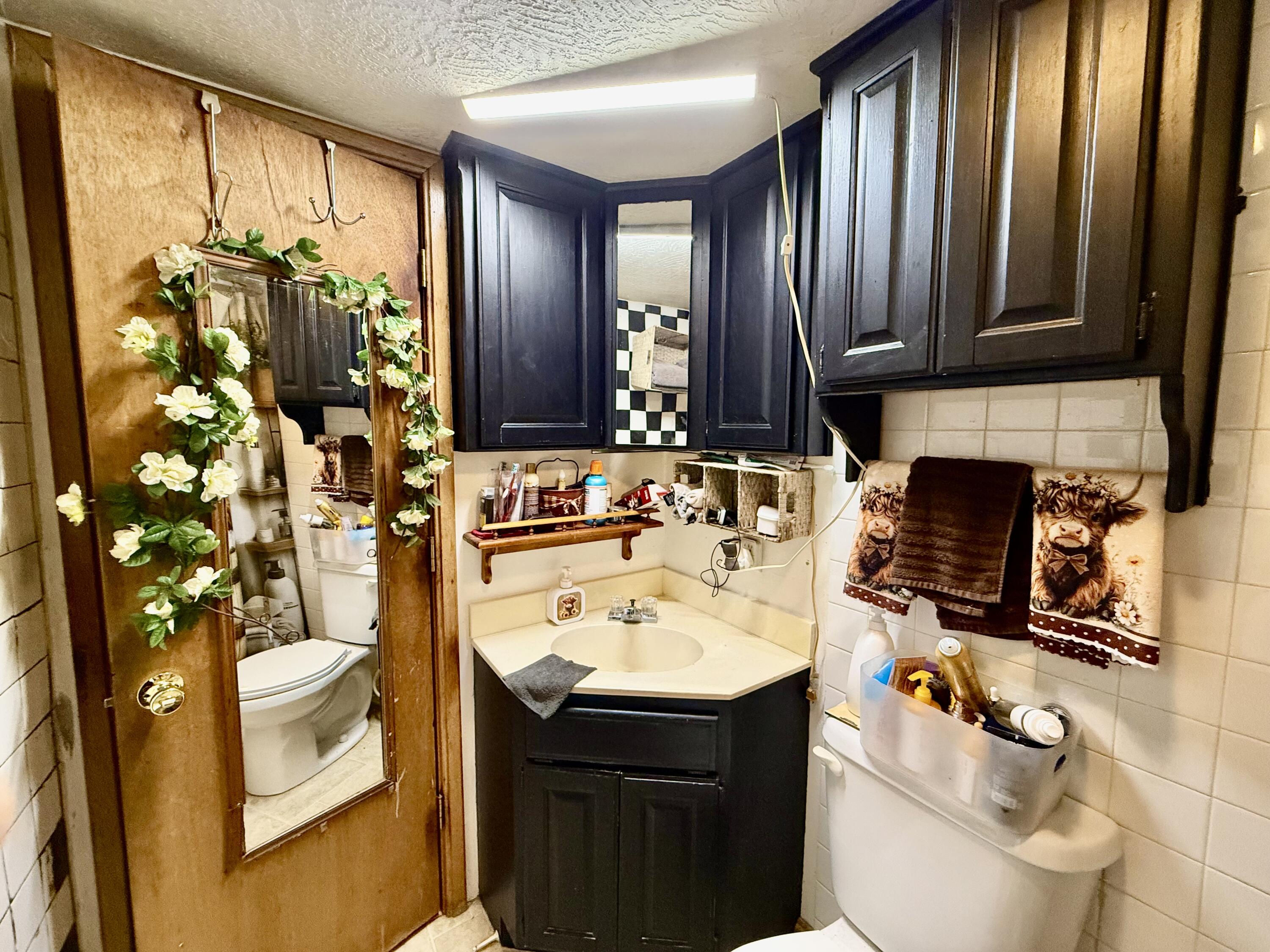 7266 State Highway O Property Photo 24