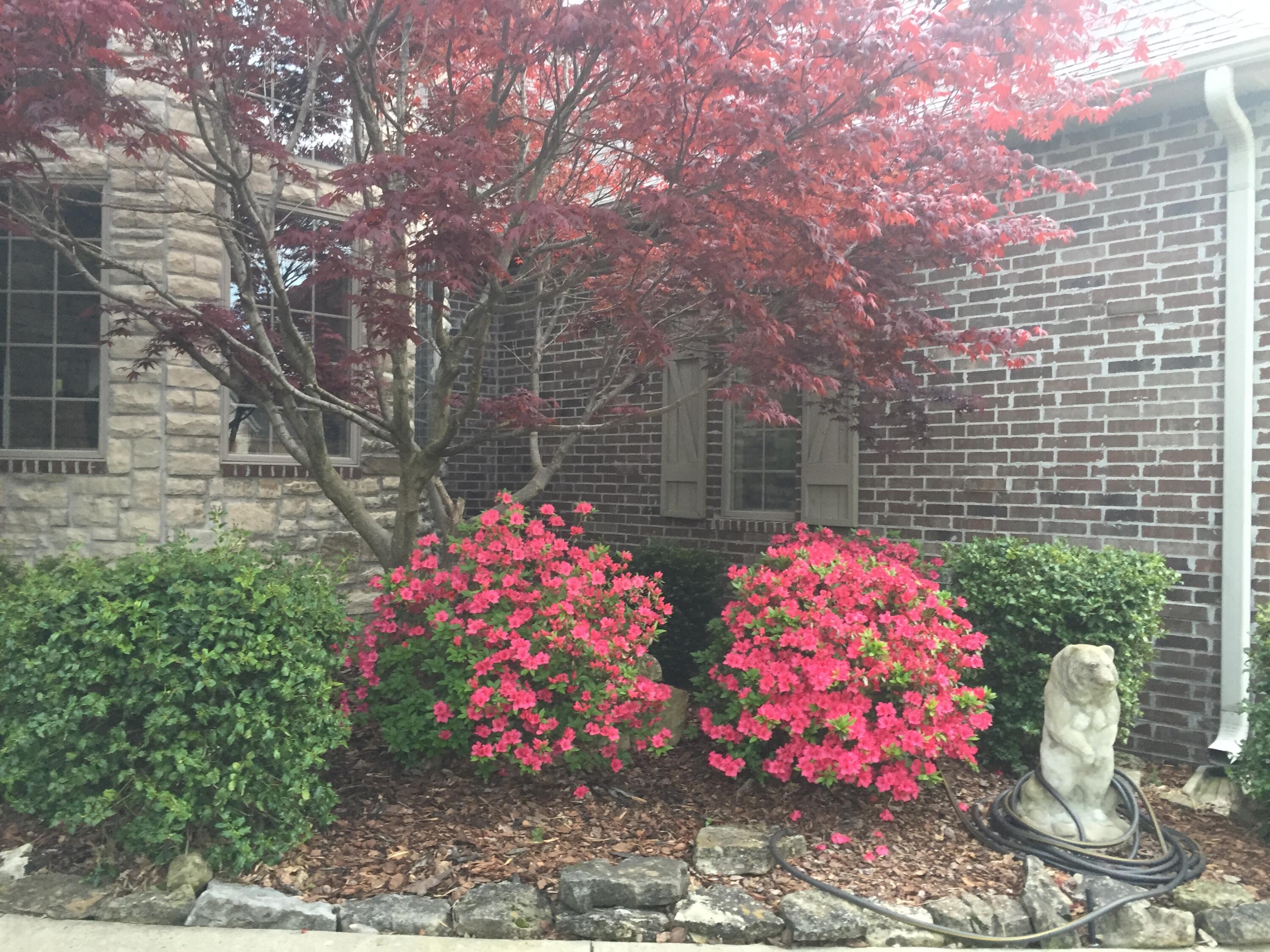 3905 East Windsmore Drive Property Photo 49