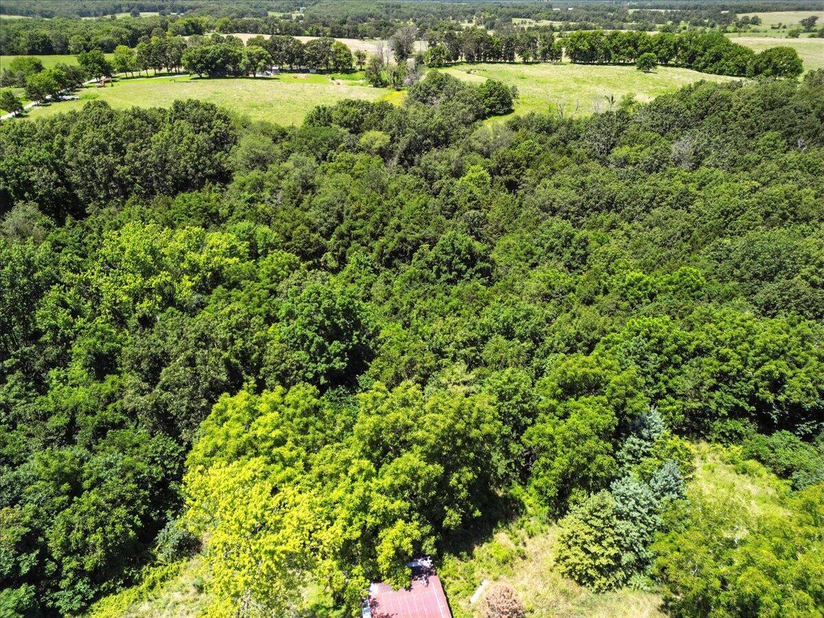 000 Highway 17 Property Photo 5