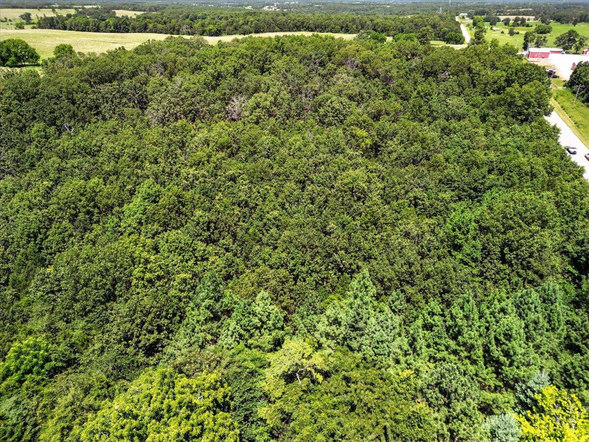 000 Highway 17 Property Photo 6