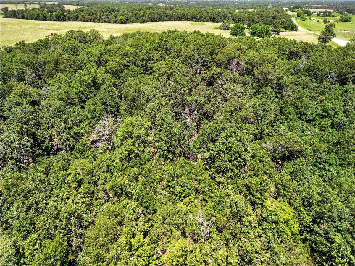 000 Highway 17 Property Photo 7