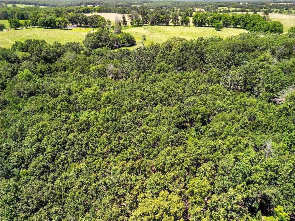 000 Highway 17 Property Photo 8