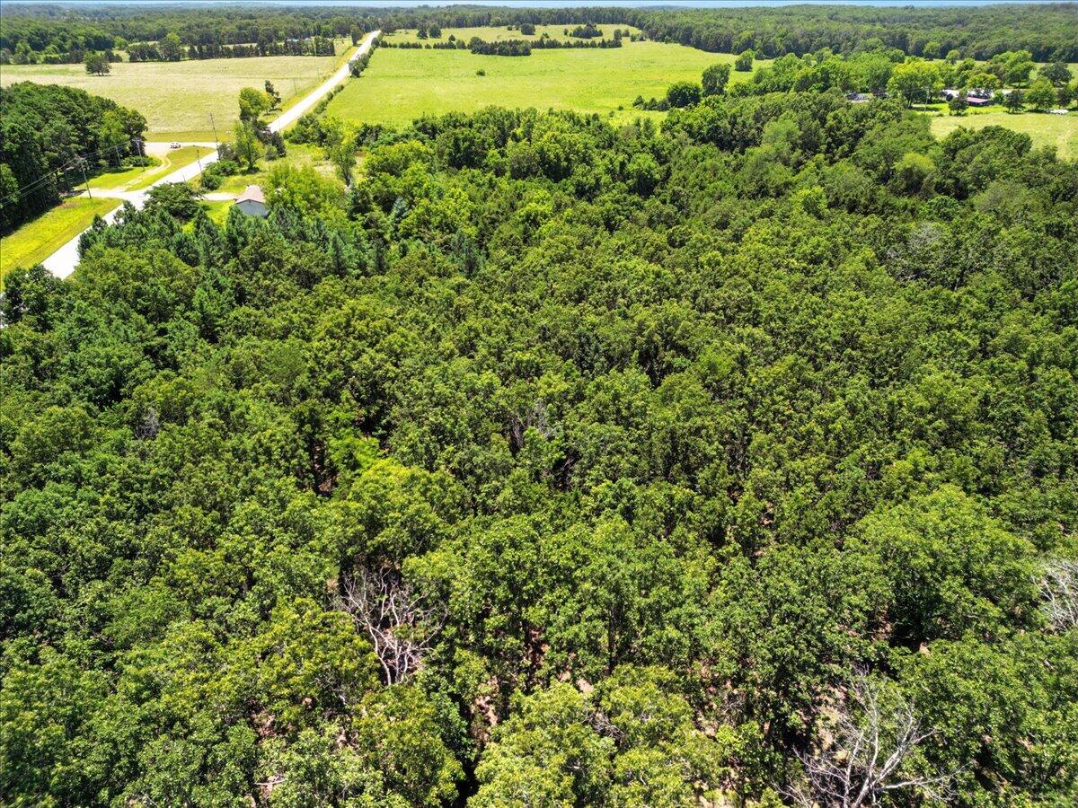 000 Highway 17 Property Photo 9